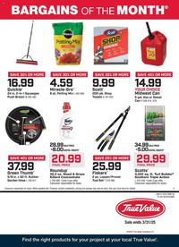True Value Weekly Ad - 01-03-2025