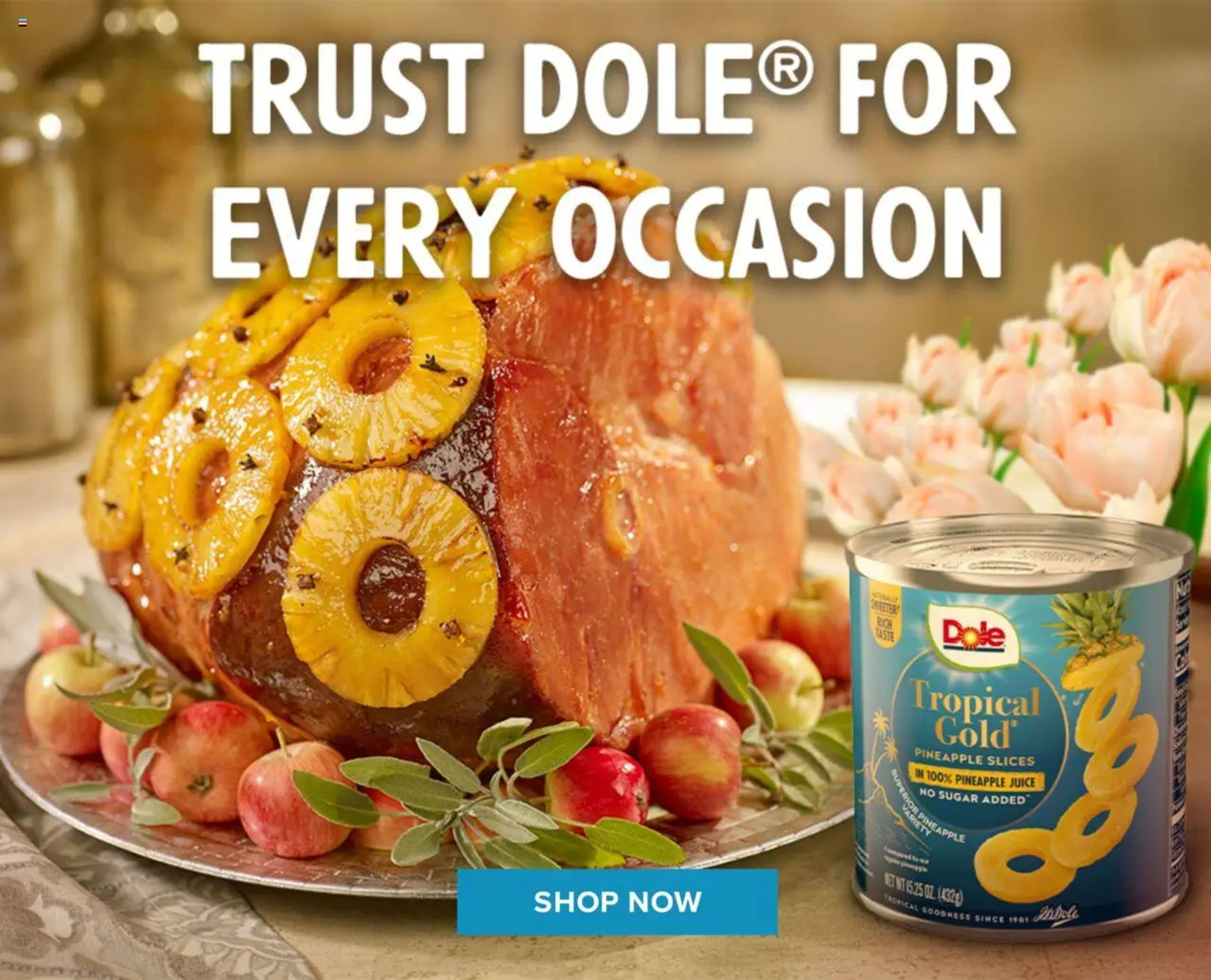 GIANT Weekly Ad week 15 - 11-04-2025