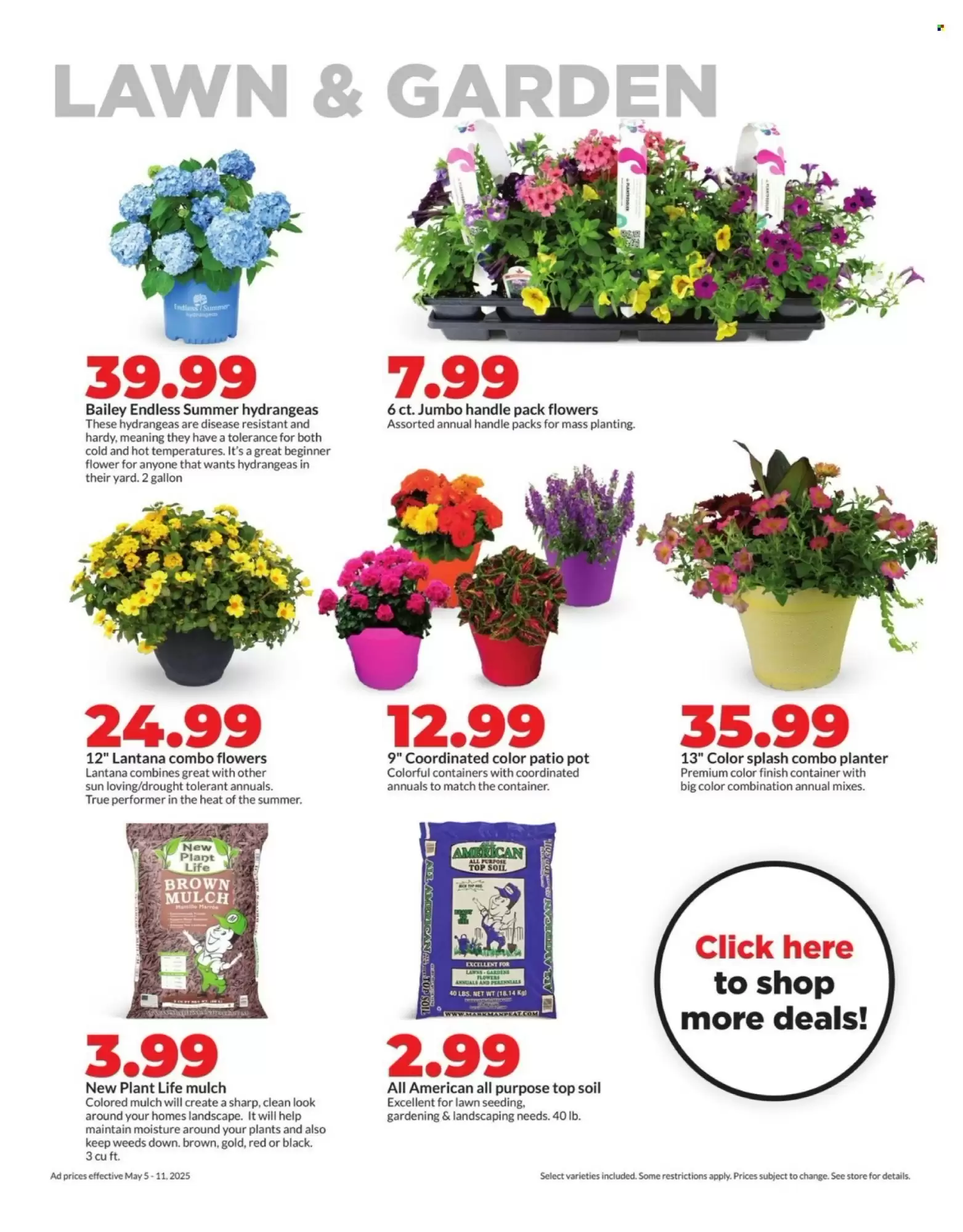 Hy-Vee Weekly Ad week 19 - 05-05-2025