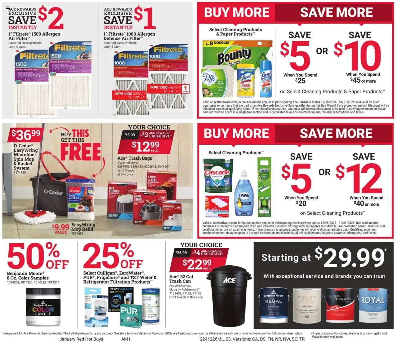 ACE Hardware offer from 12/26/2024 Weekly Ad - MI