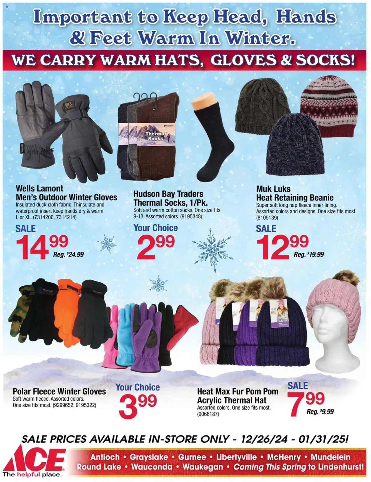 ACE Hardware offer from 12/26/2024 Winter Weather