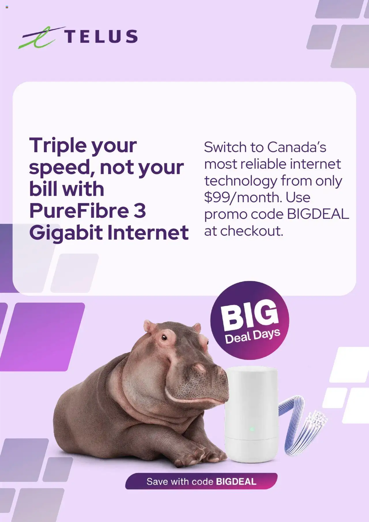 Telus flyer / circulaire