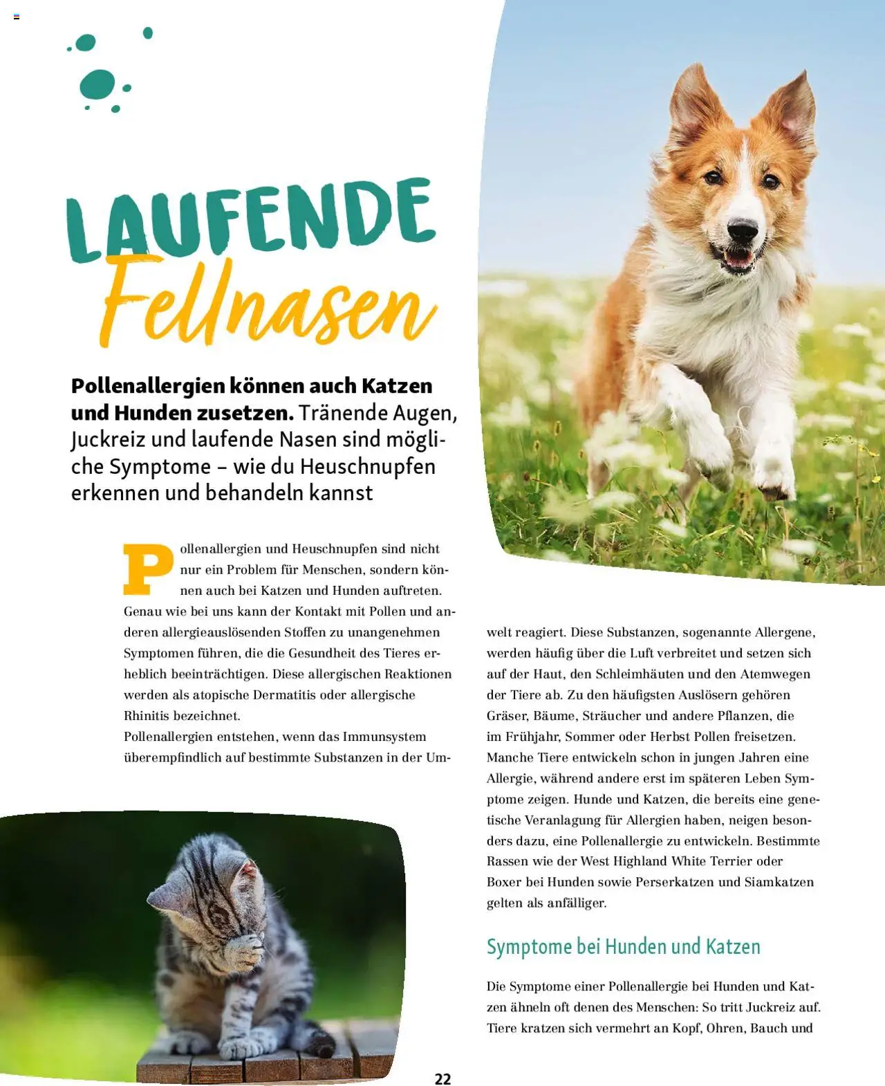 Fressnapf Magazin