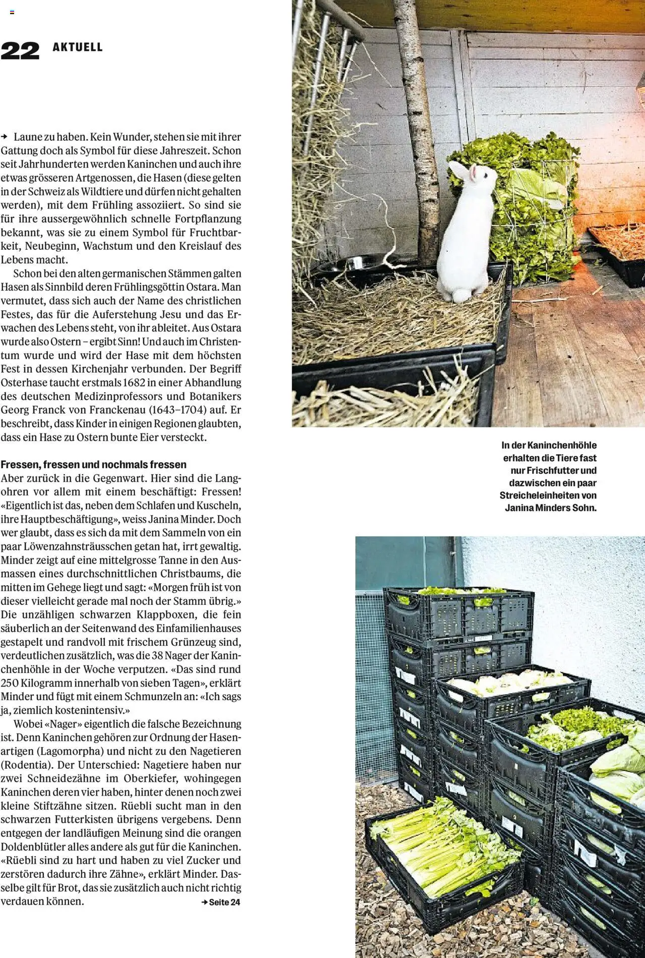 Coop - Magazin