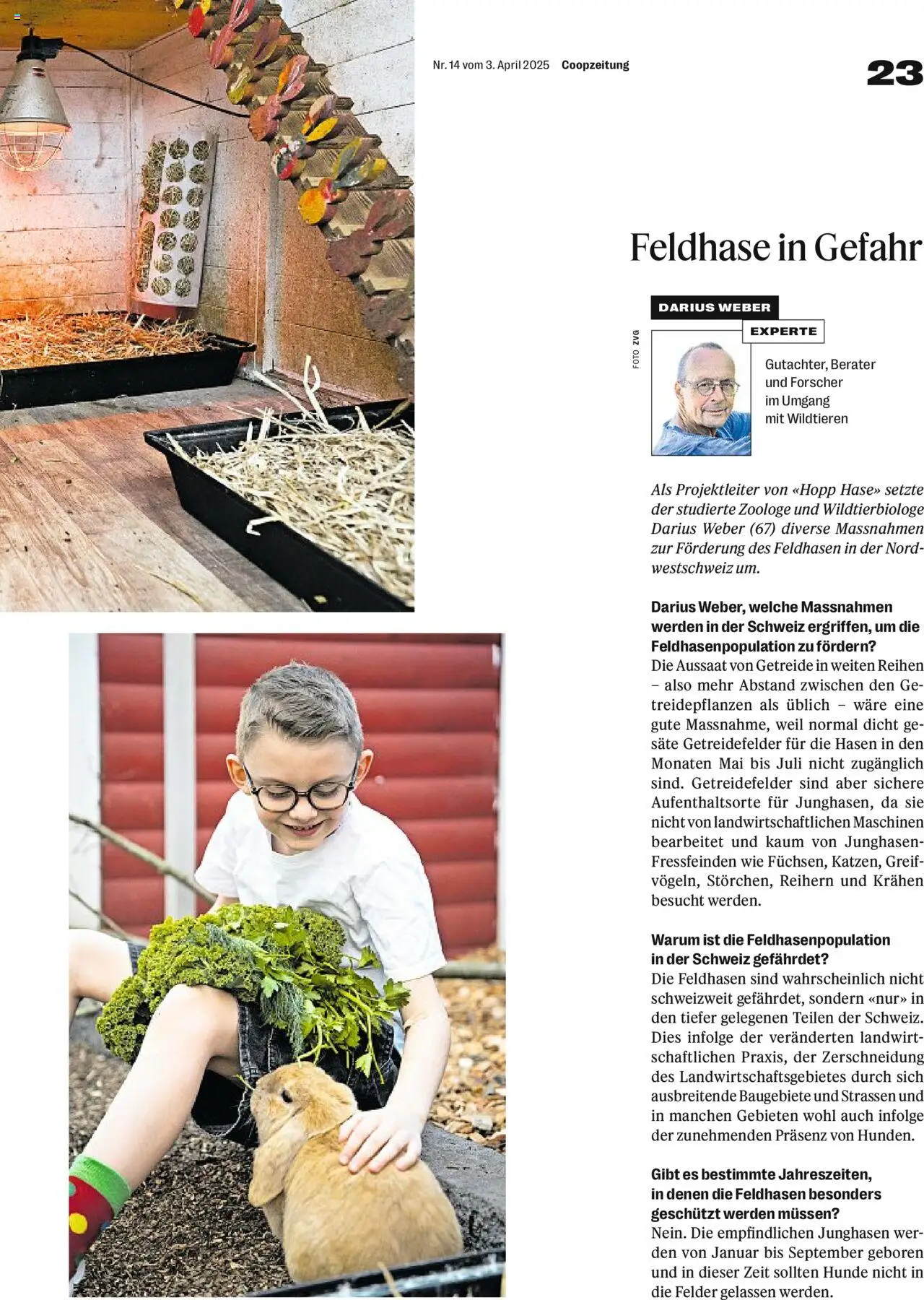 Coop - Magazin