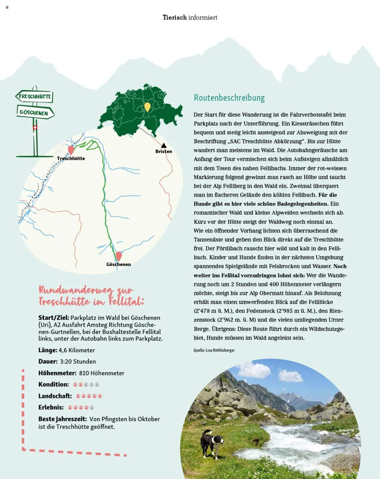 Fressnapf Magazin (01.05.2025 - 30.06.2025)
