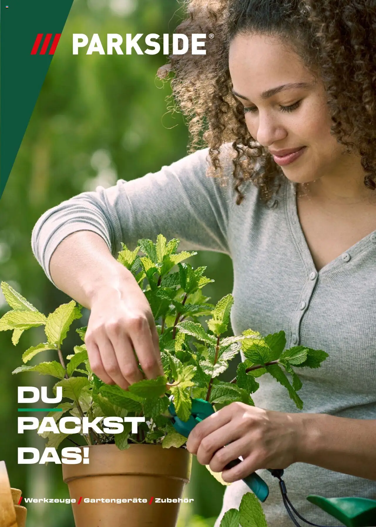 Lidl Aktionen Frühling
