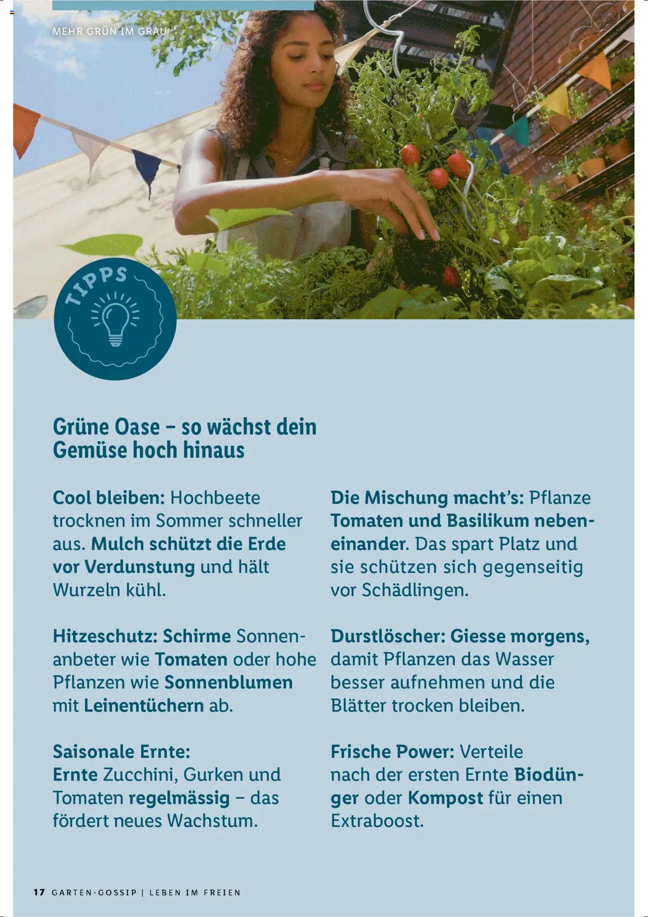 Lidl Aktionen Garten