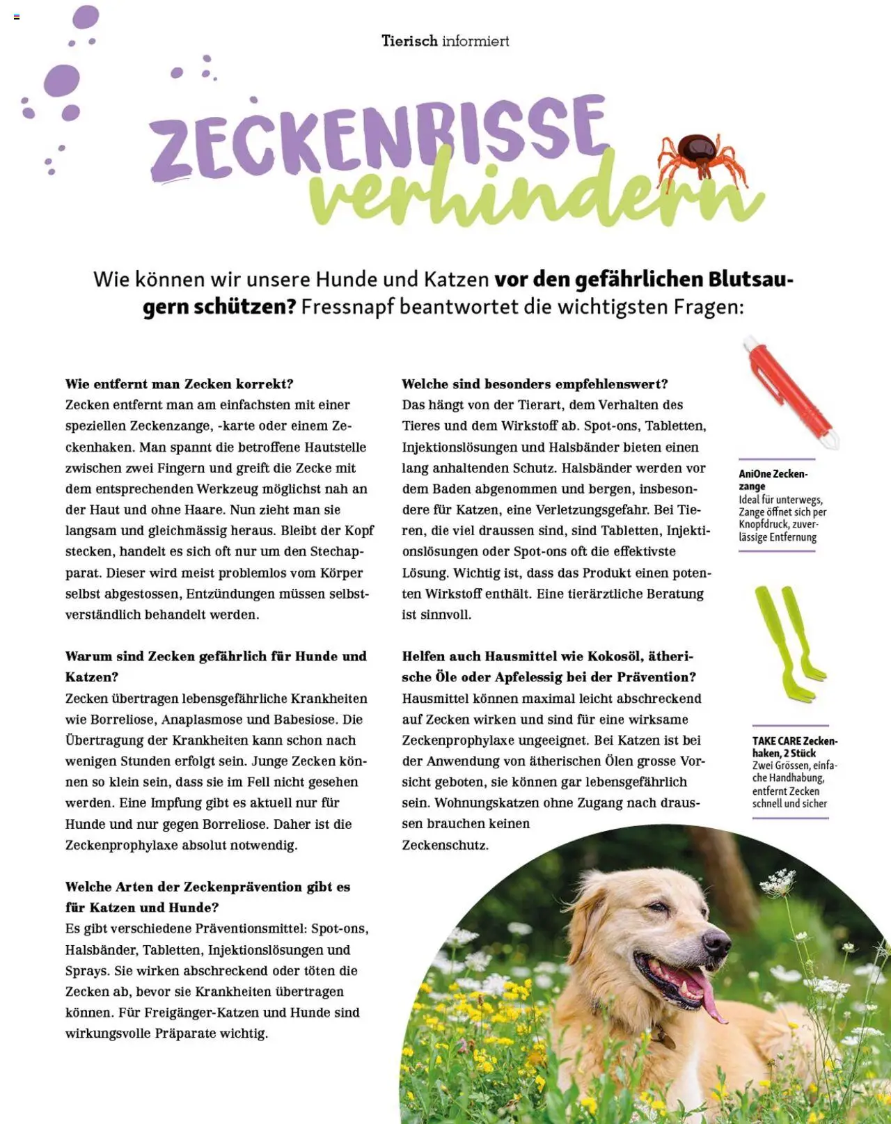 Fressnapf Magazin (01.05.2025 - 30.06.2025)