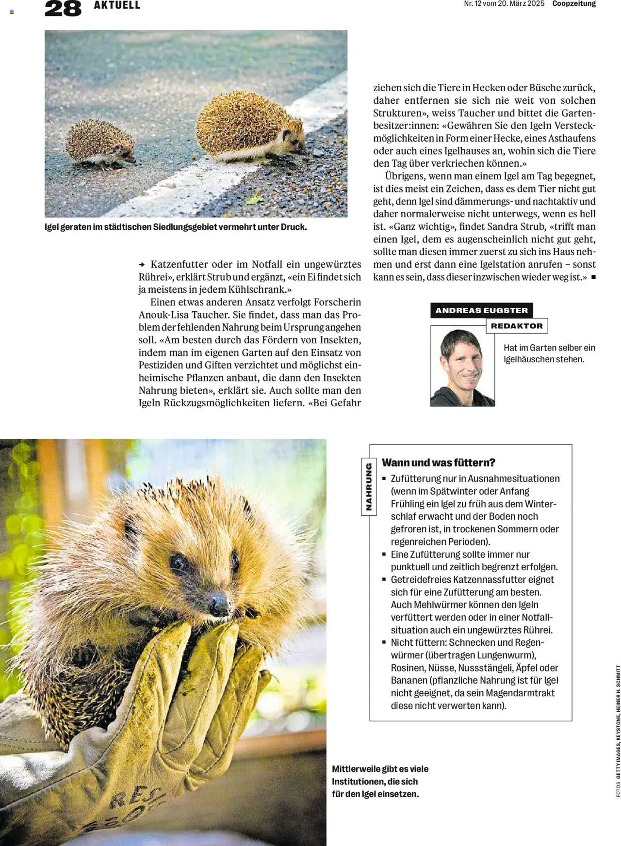 Coop - Magazin