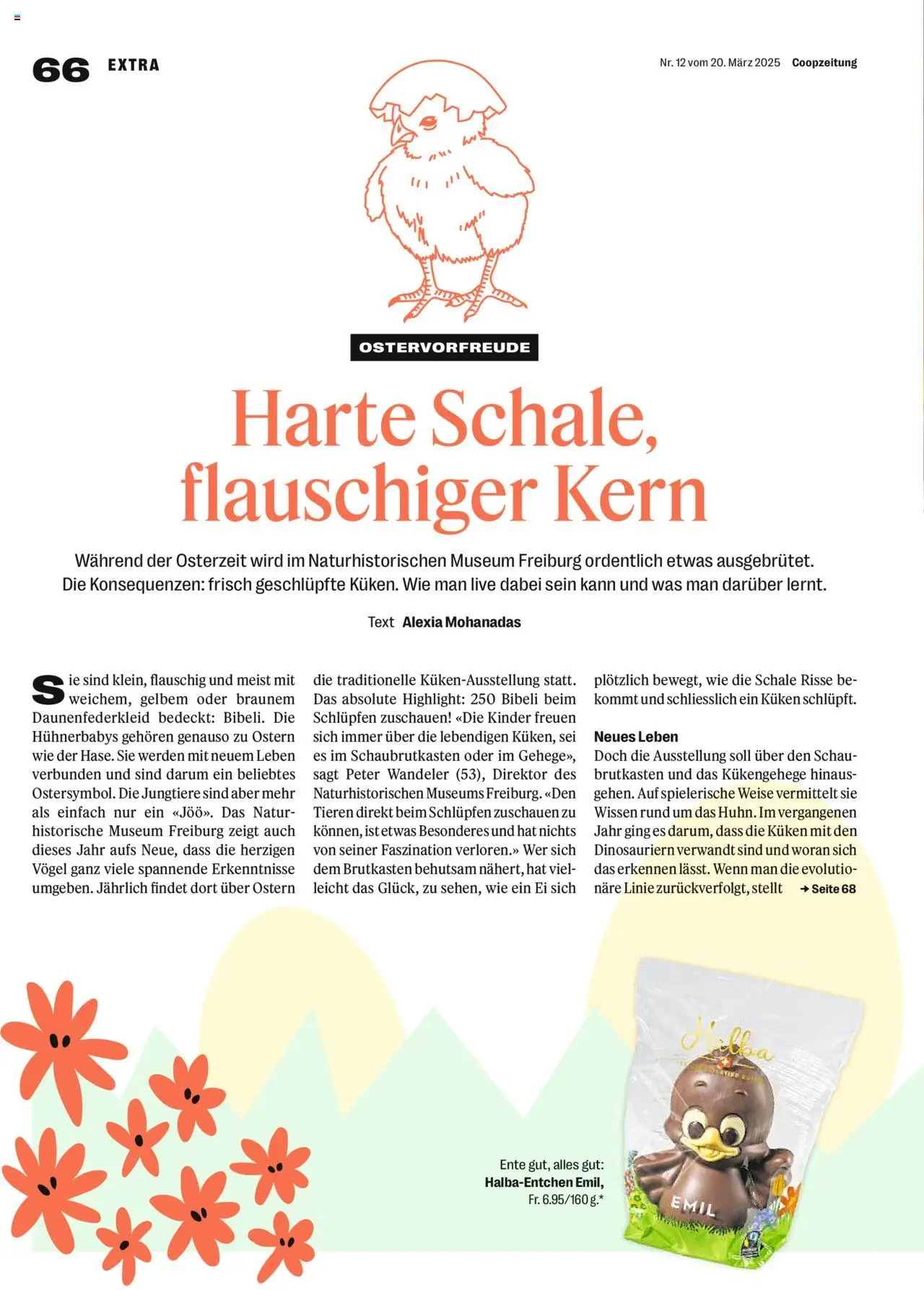 Coop - Magazin