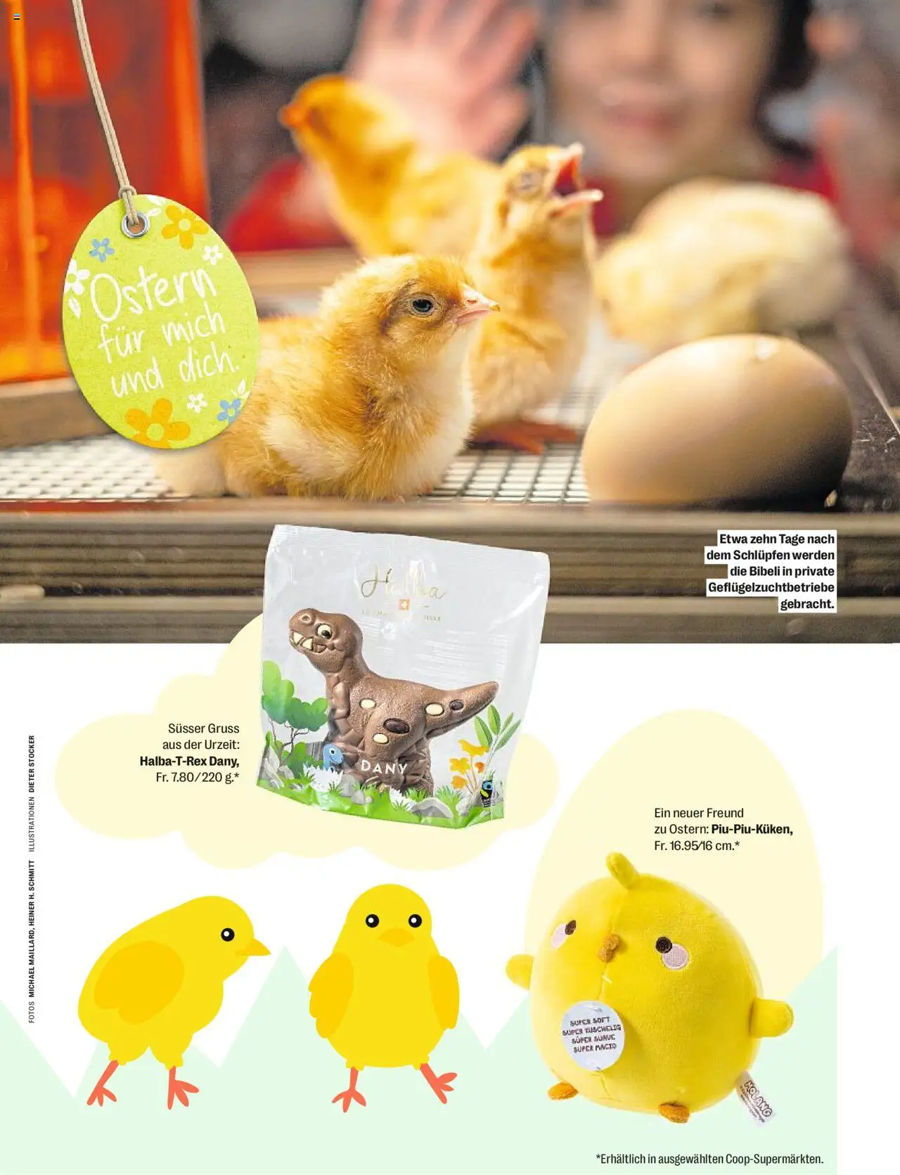 Coop - Magazin