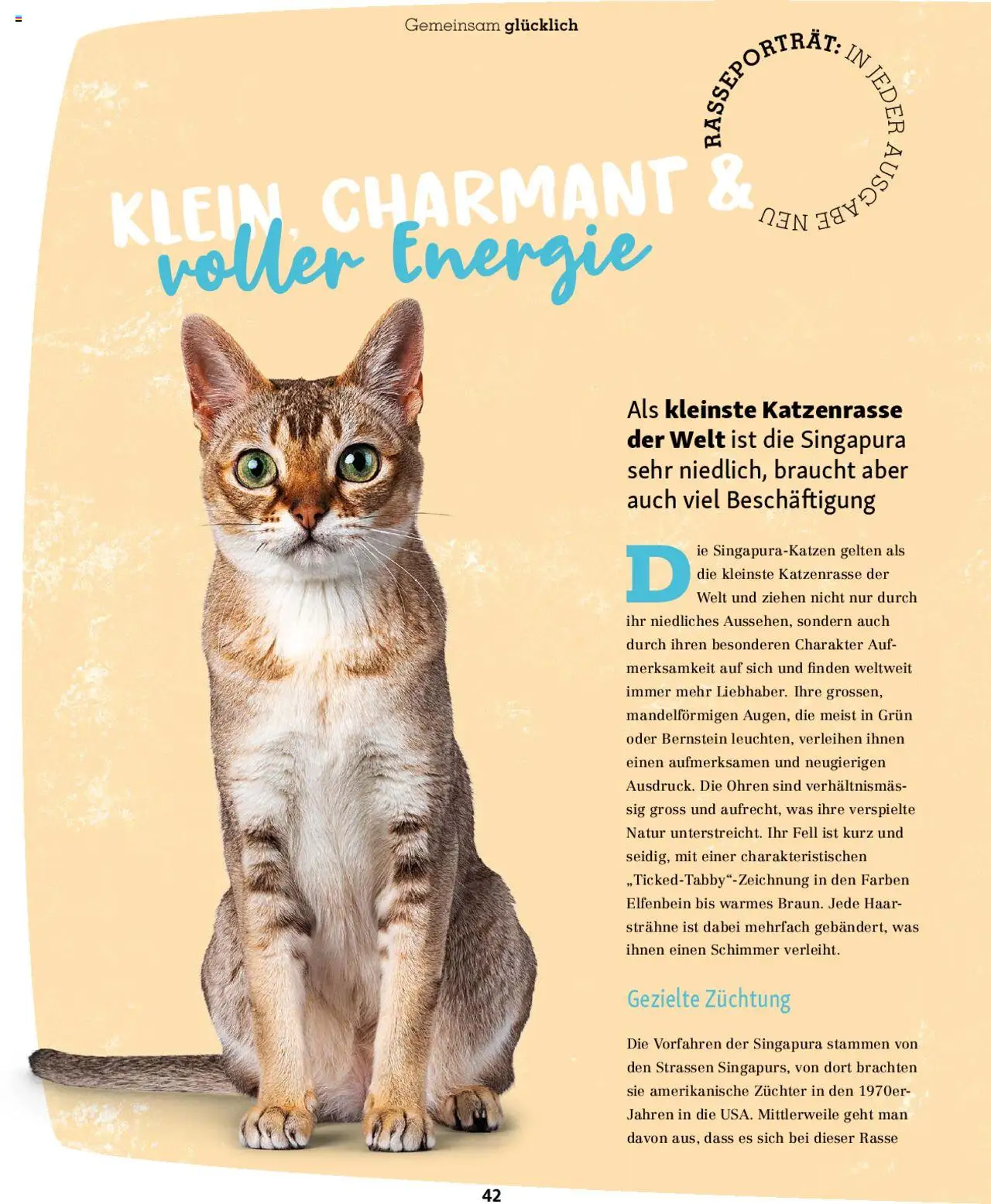 Fressnapf Magazin