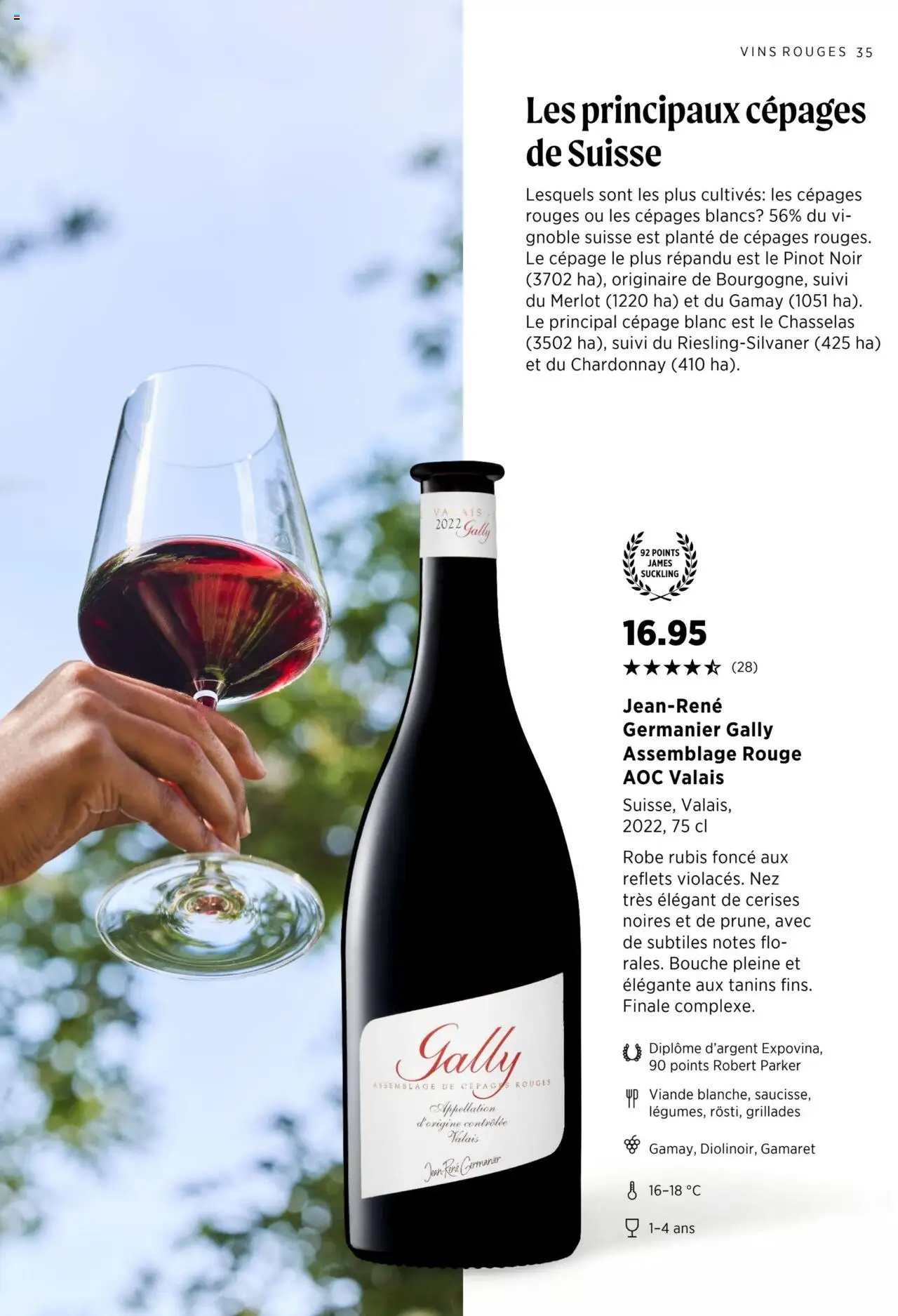 Denner Aktionen Guide des vins 2024/2025