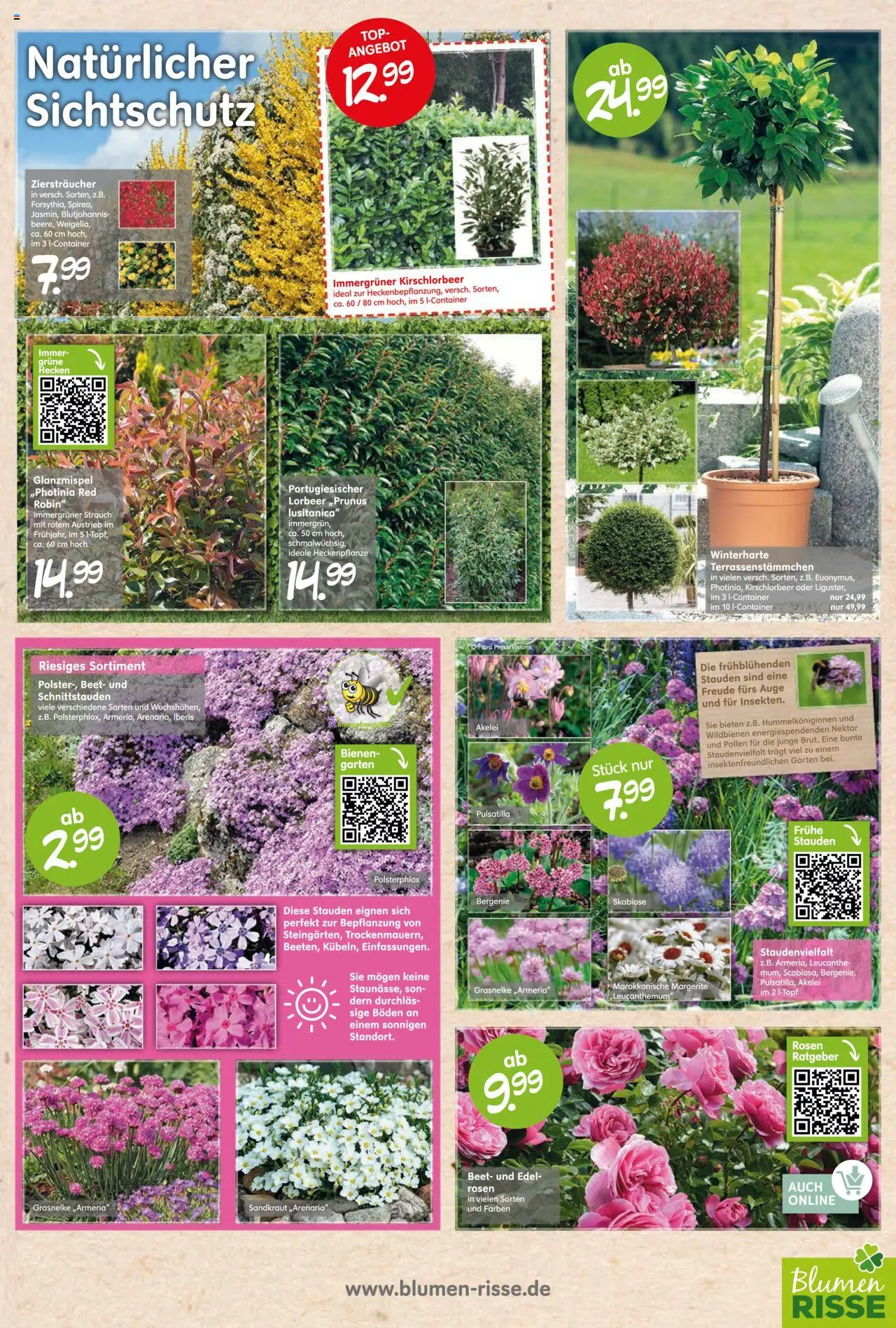 Blumen Risse - Gartencenter