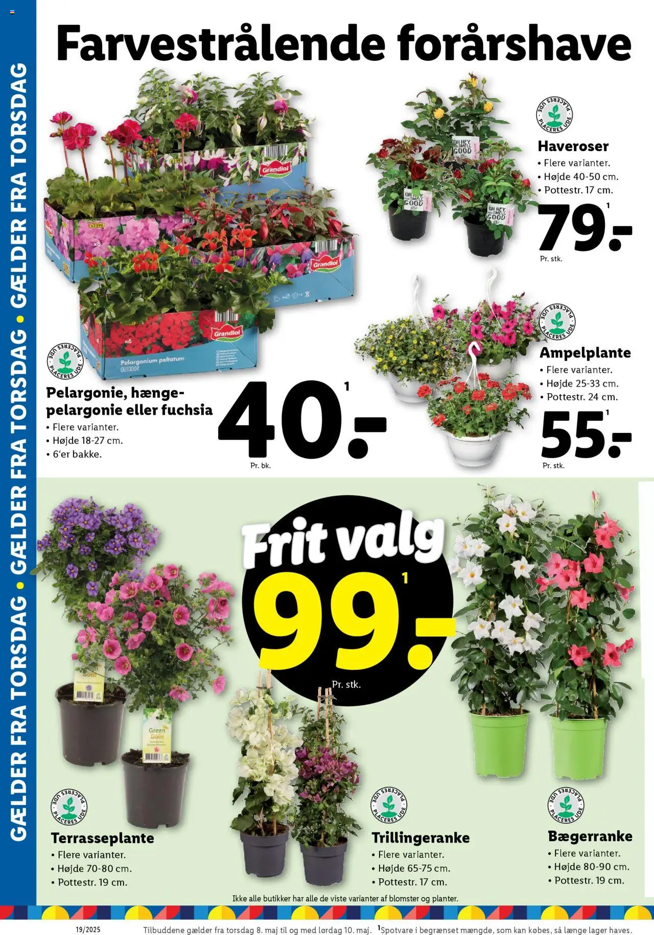 Lidl - Tilbudsavis (04/05/2025 - 10/05/2025)