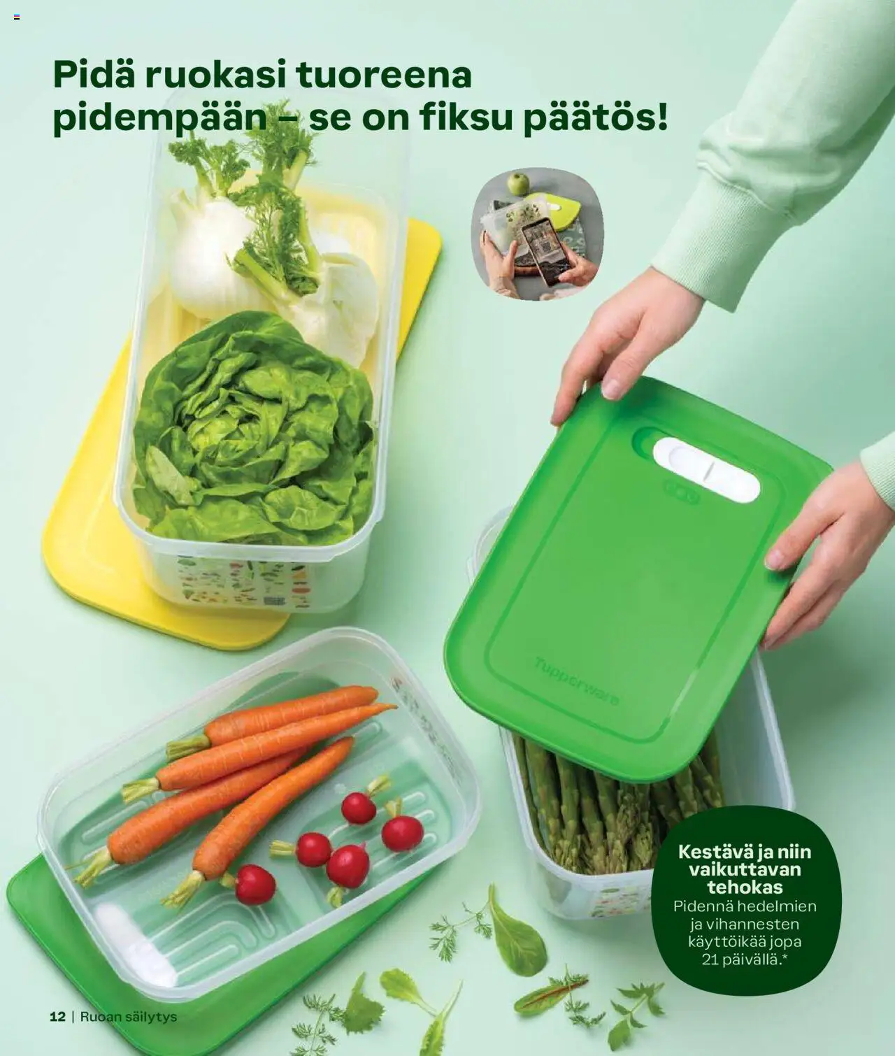 Tupperware tarjoukset - Syksy/Talvi 2024/25