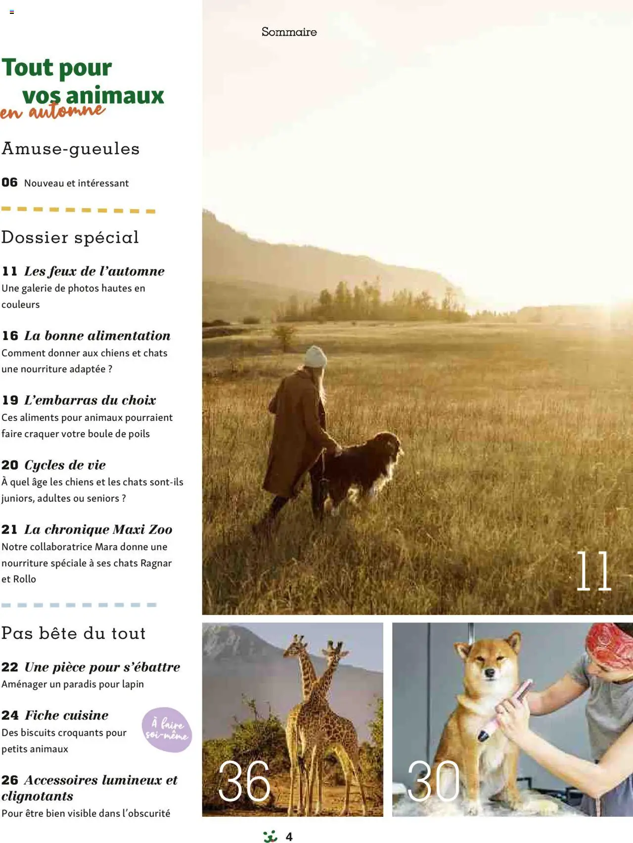 Maxi ZOO catalogue