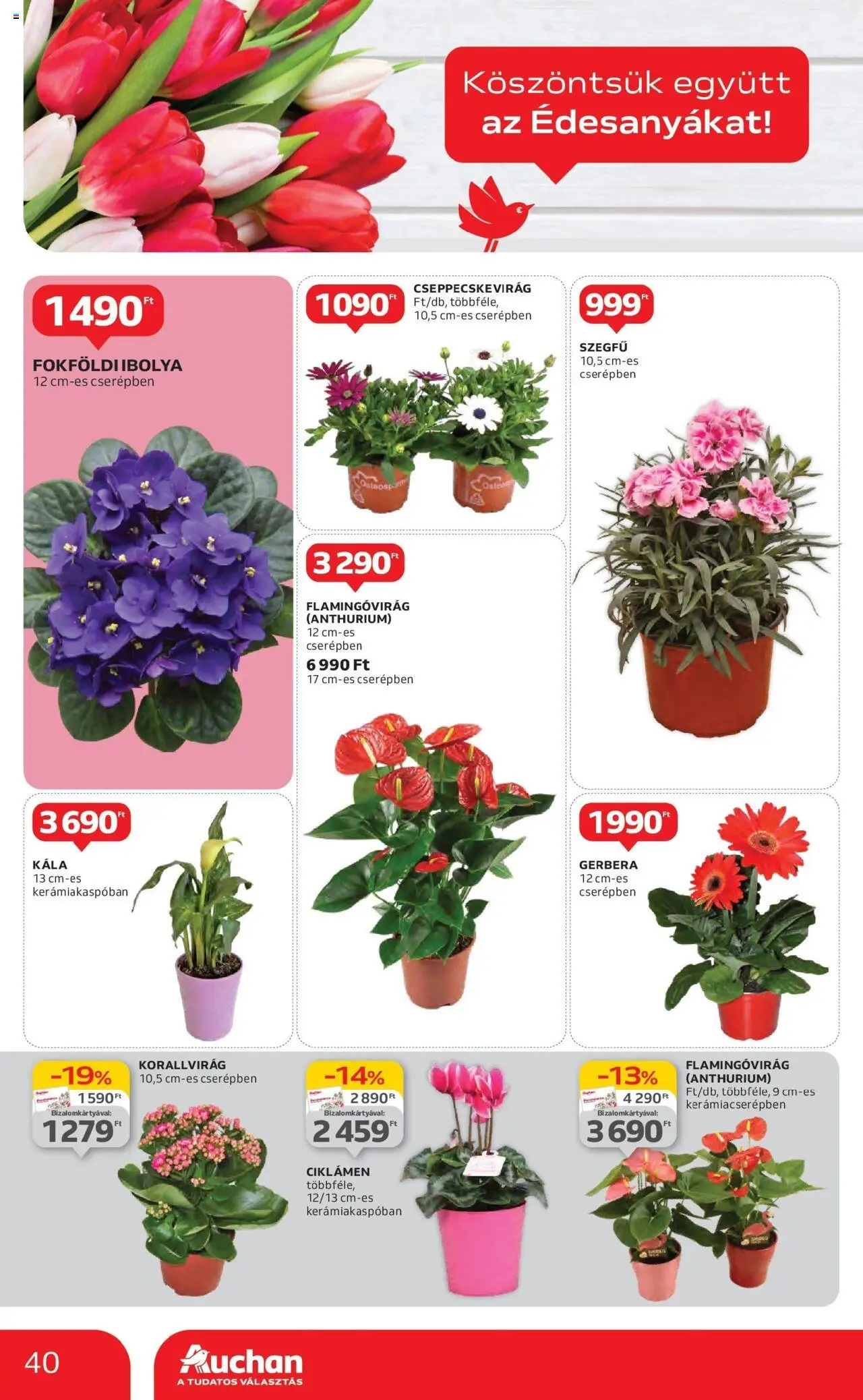 Auchan - Auchan újság érvényessége 05.07.-ig (2025.04.30. - 2025.05.07.)