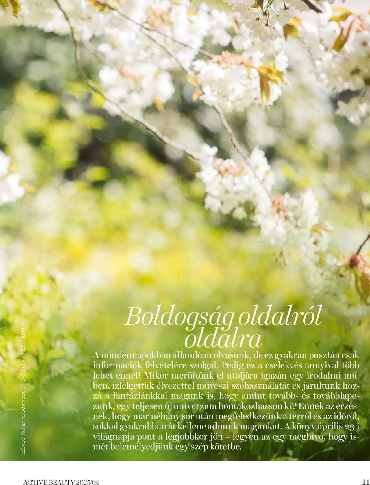 DM Drogerie Markt - Active Beauty