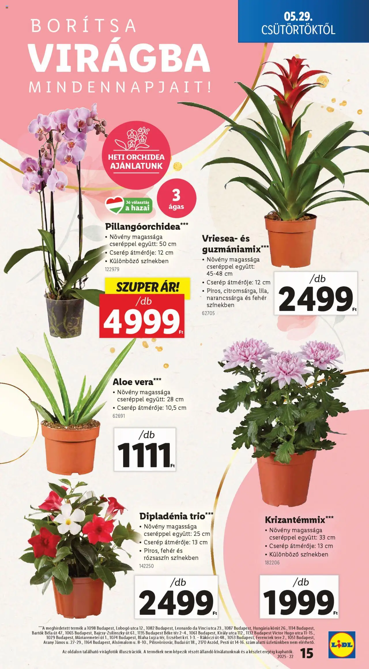 Lidl Akciós újság (2025.05.29. - 2025.06.04.)