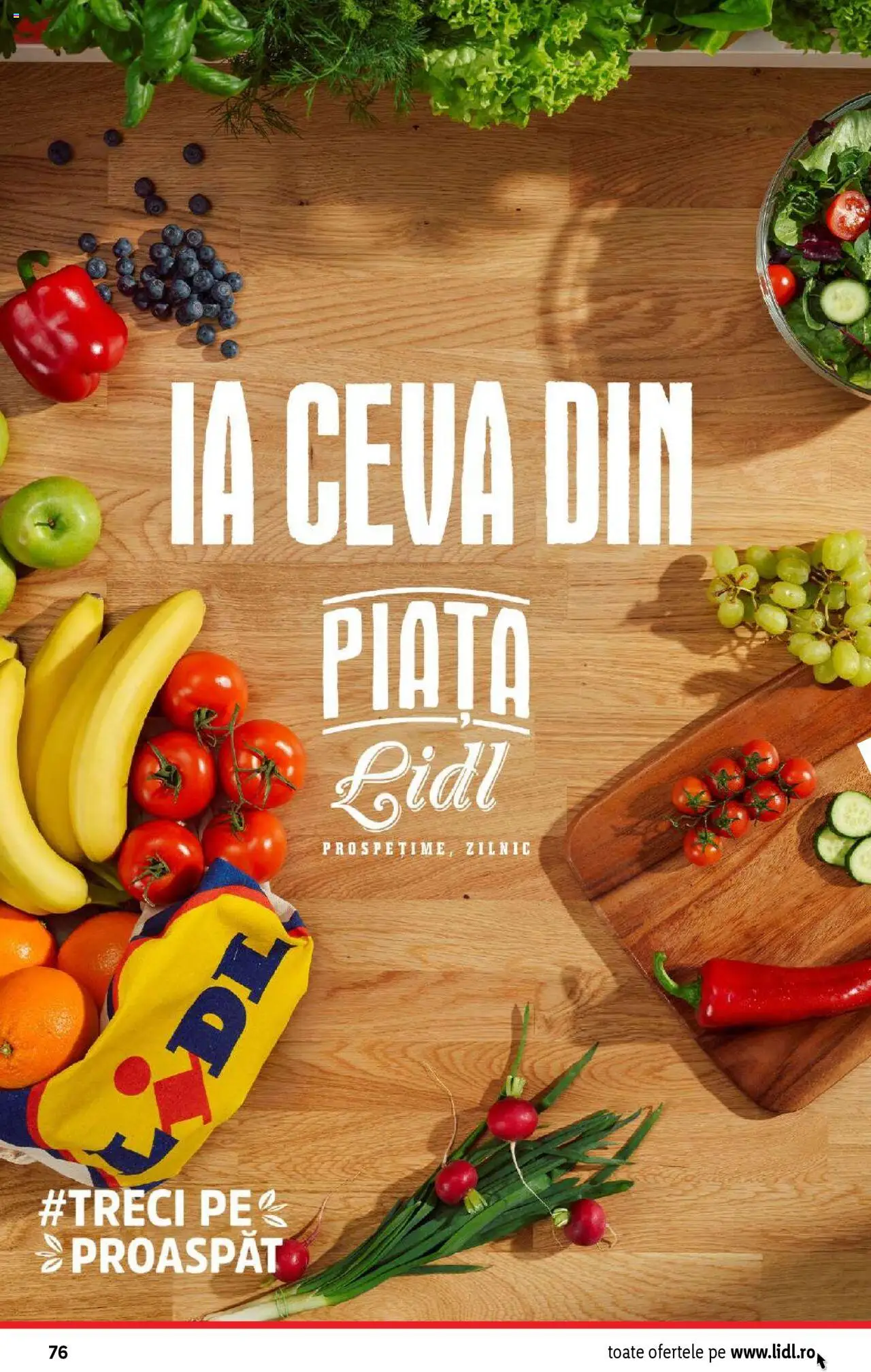 Catalog Lidl