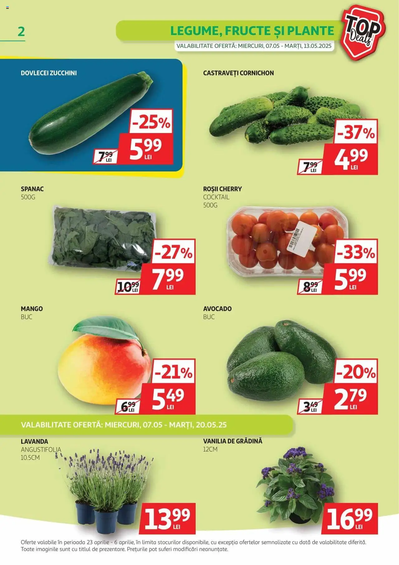 Catalog Auchan