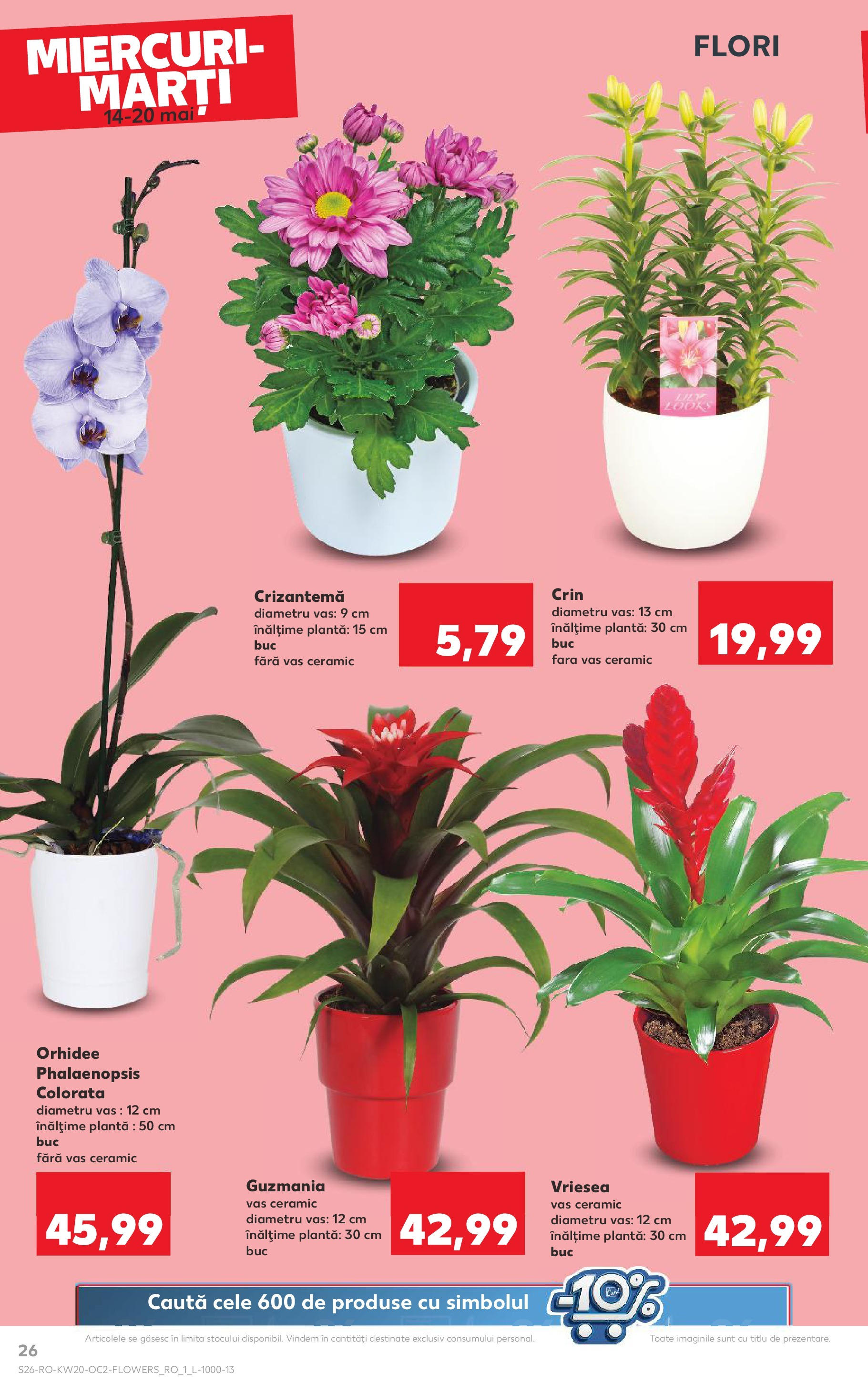 Catalog Kaufland - Râșnov
