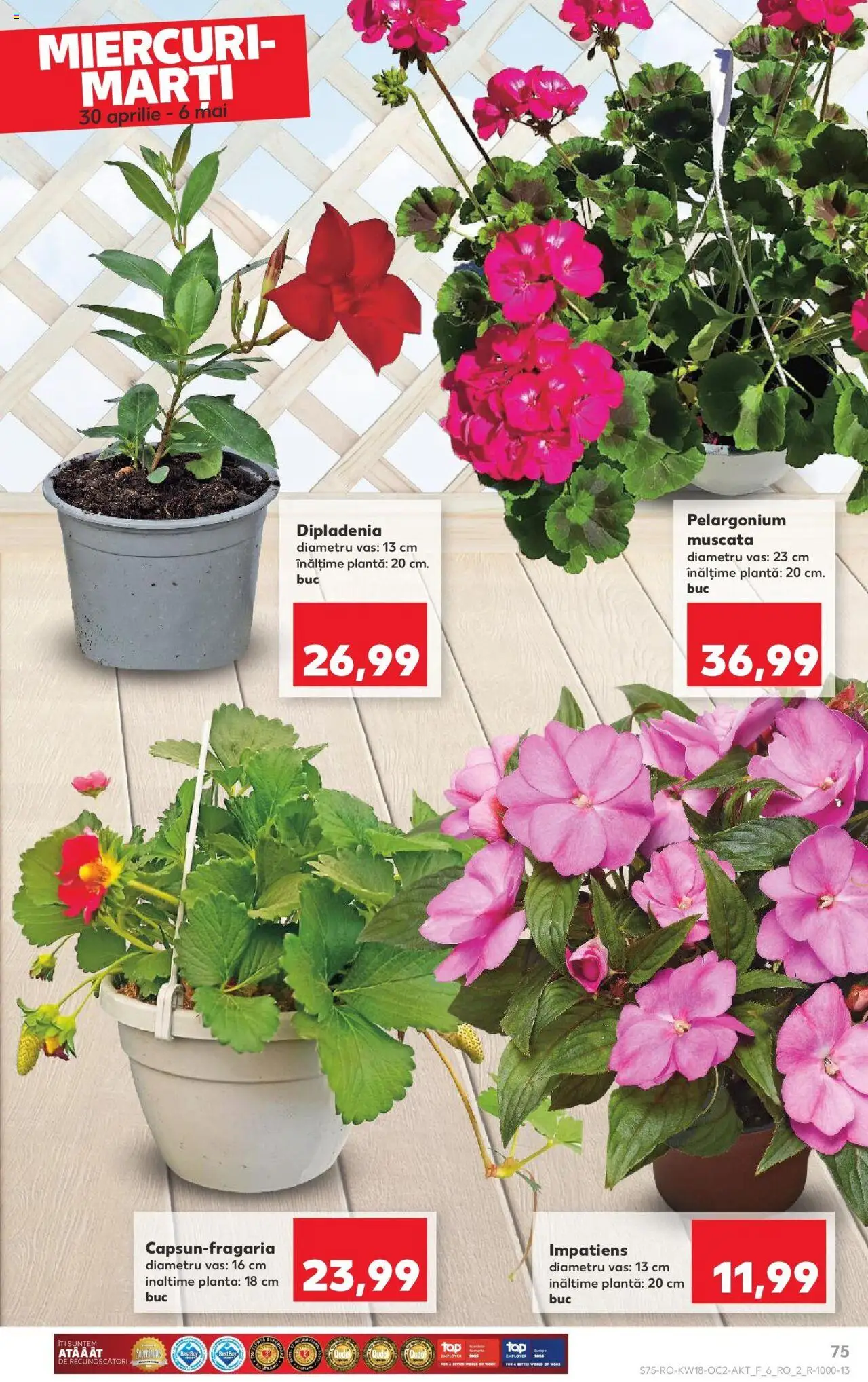 Catalog Kaufland - Târgu Mureş