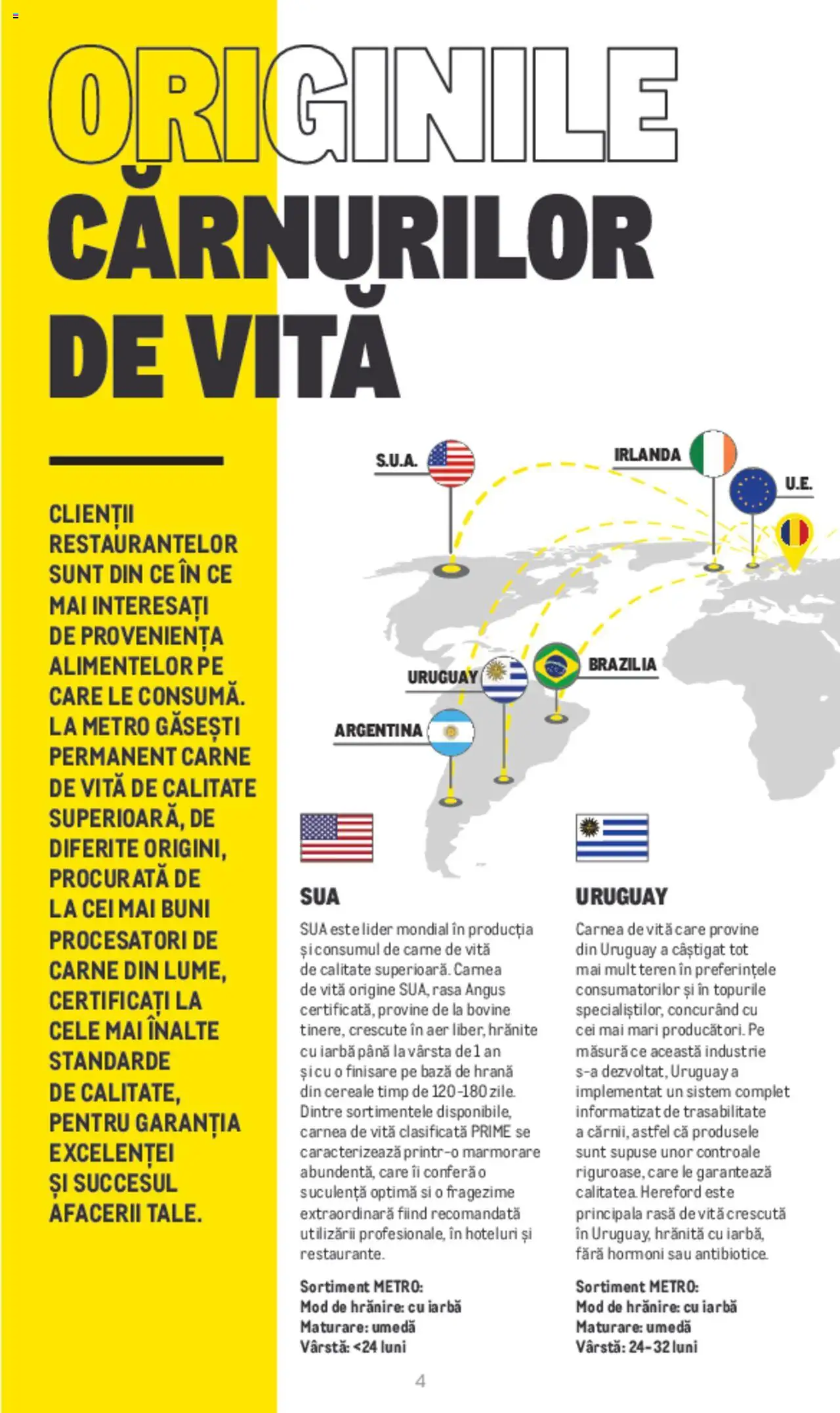 Metro catalog - Carne de Vită