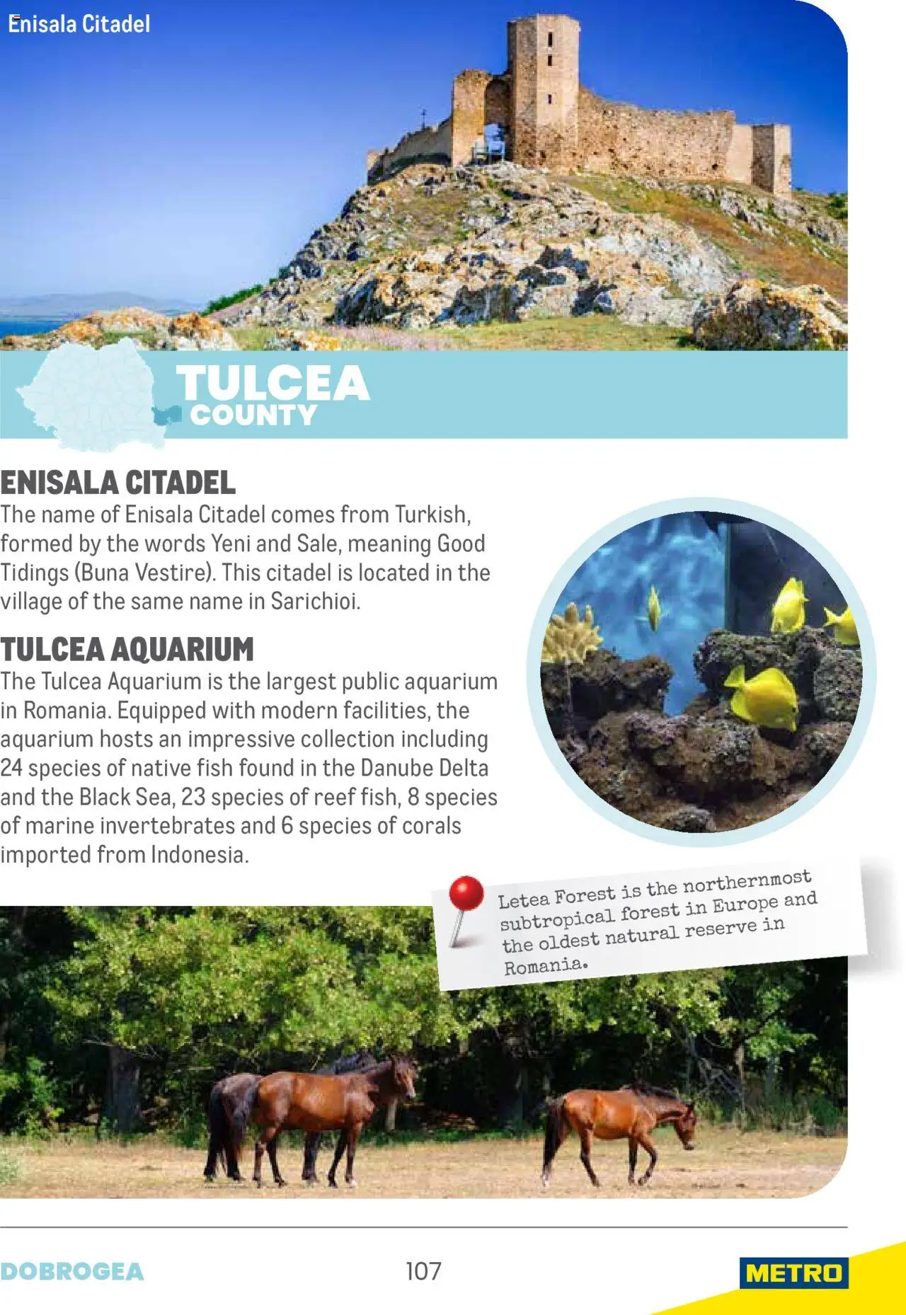 Metro catalog - Tourism Guide