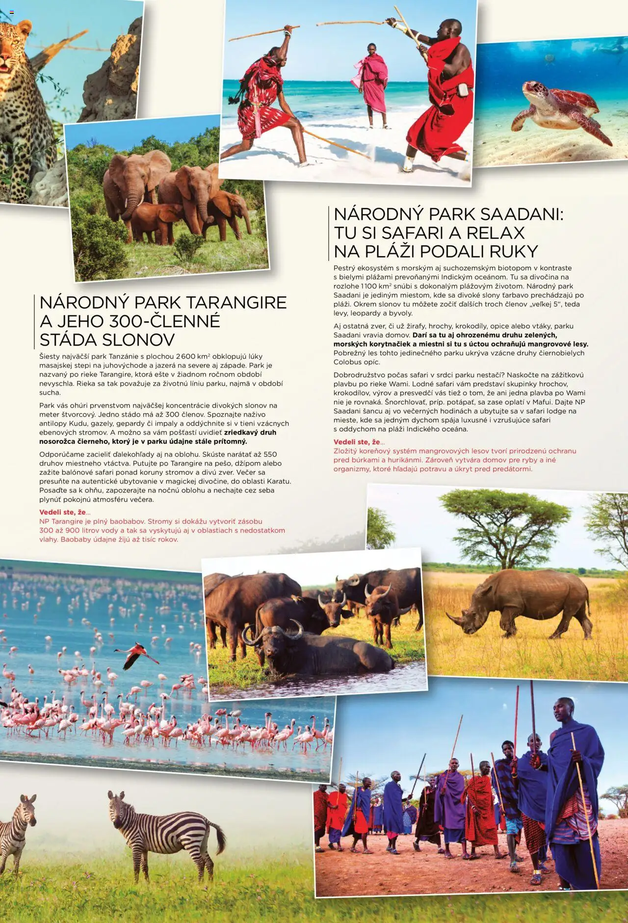 Satur Safari