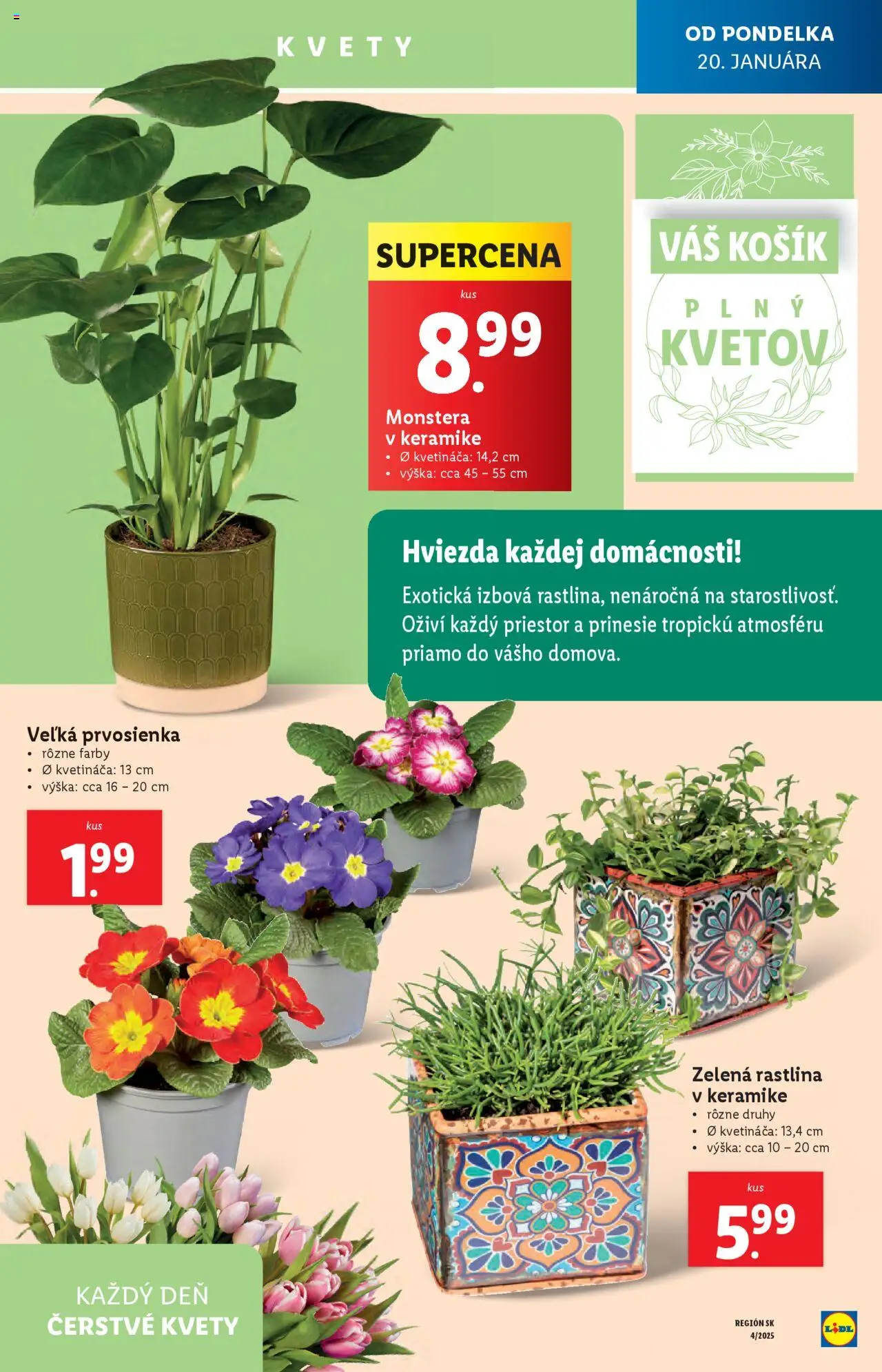 Lidl leták