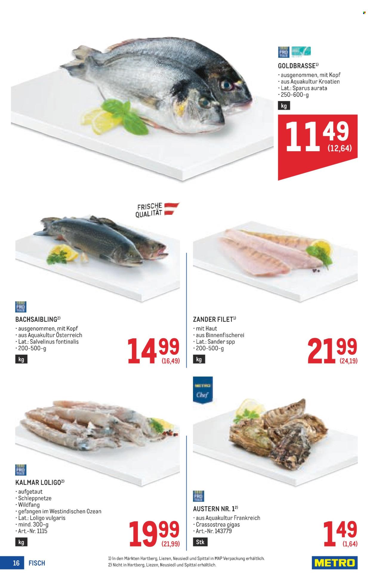 Metro Flugblatt: Profi