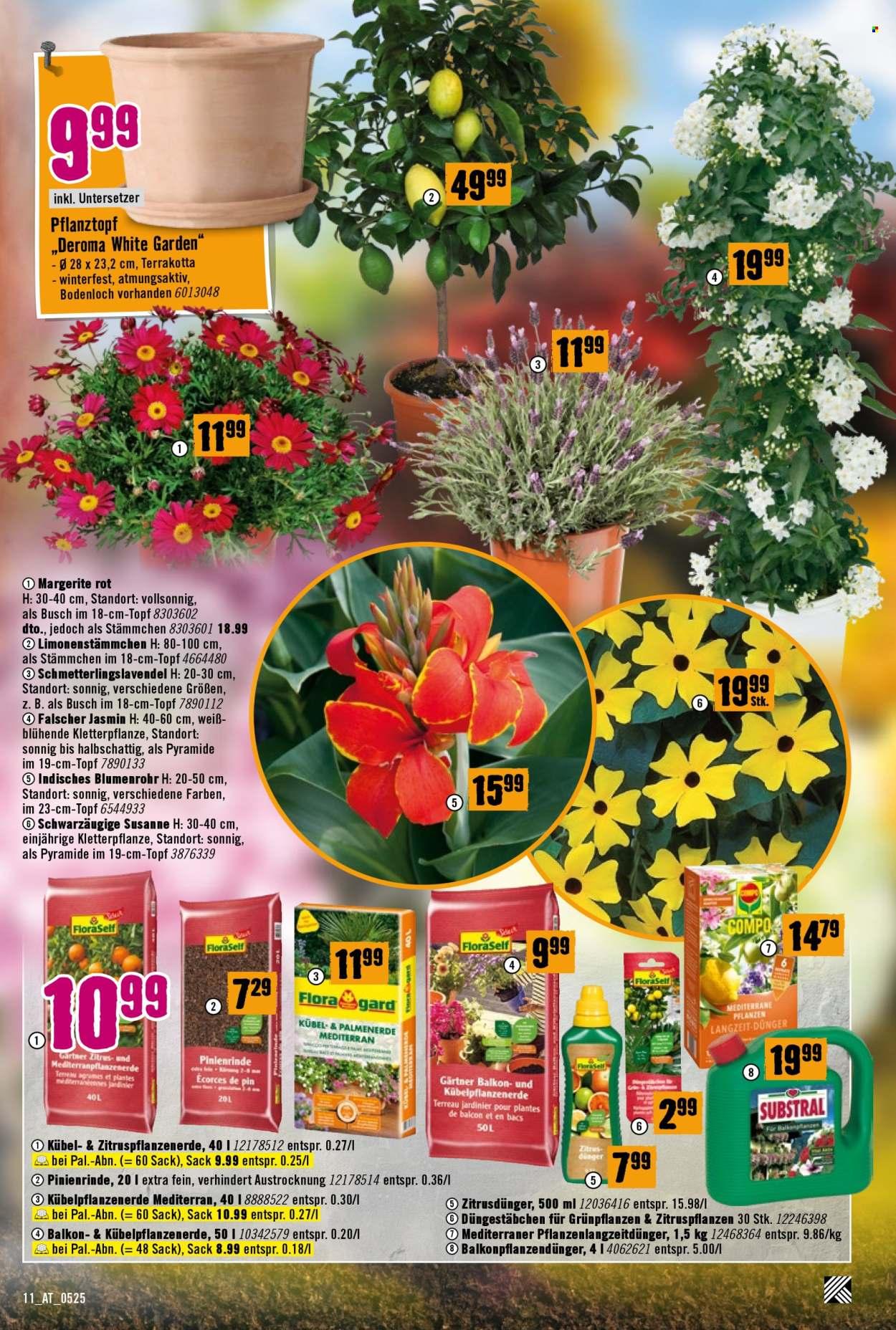 Hornbach Flugblatt: Alles neu macht der Mai. Und Du! (2025-05-08 - 2025-06-04)