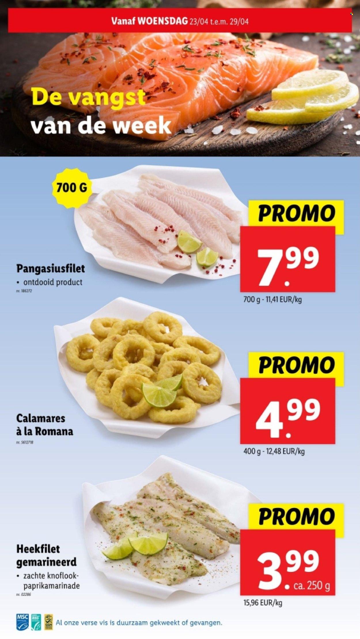 Lidl folder