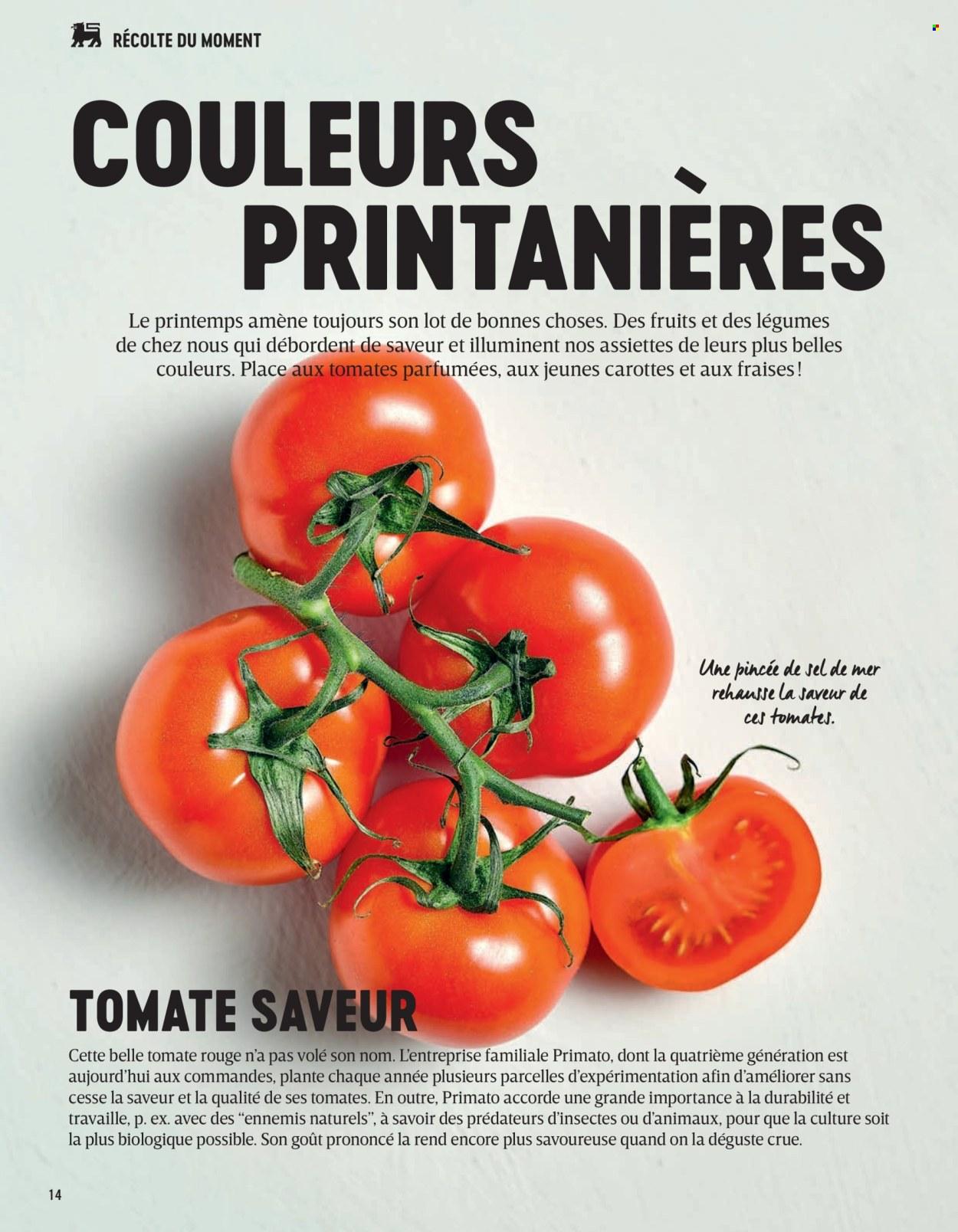 Delhaize folder (2025-03-07)