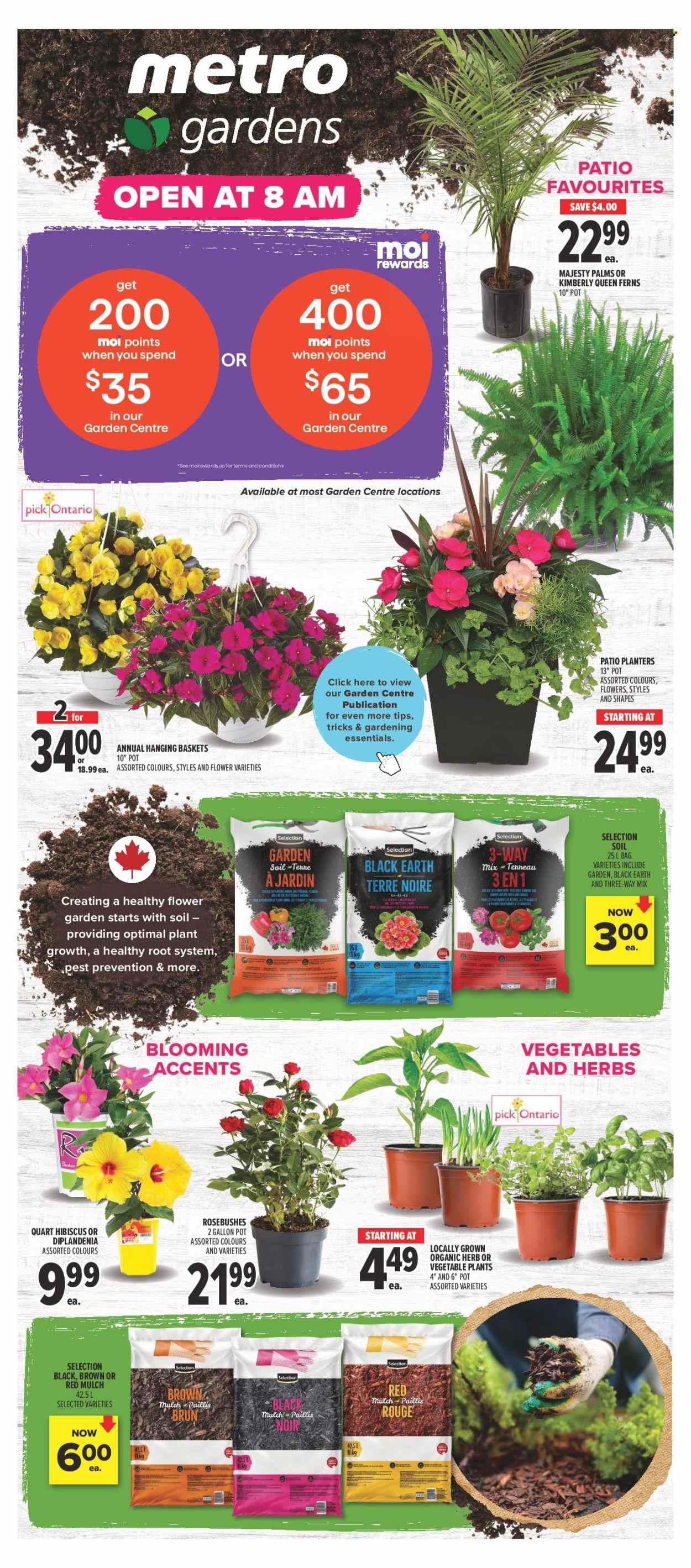 Metro flyer: Weekly Flyer
