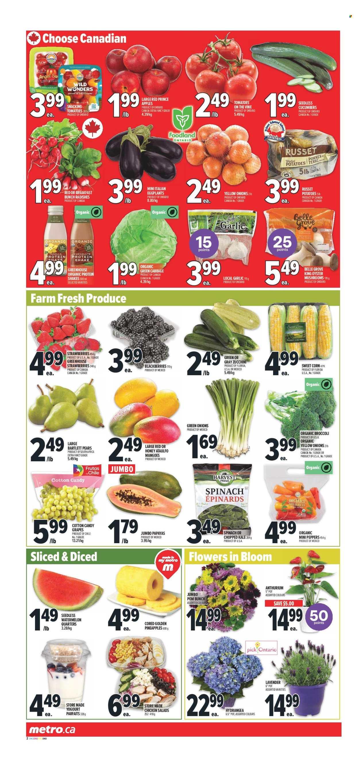Metro flyer: Weekly Flyer