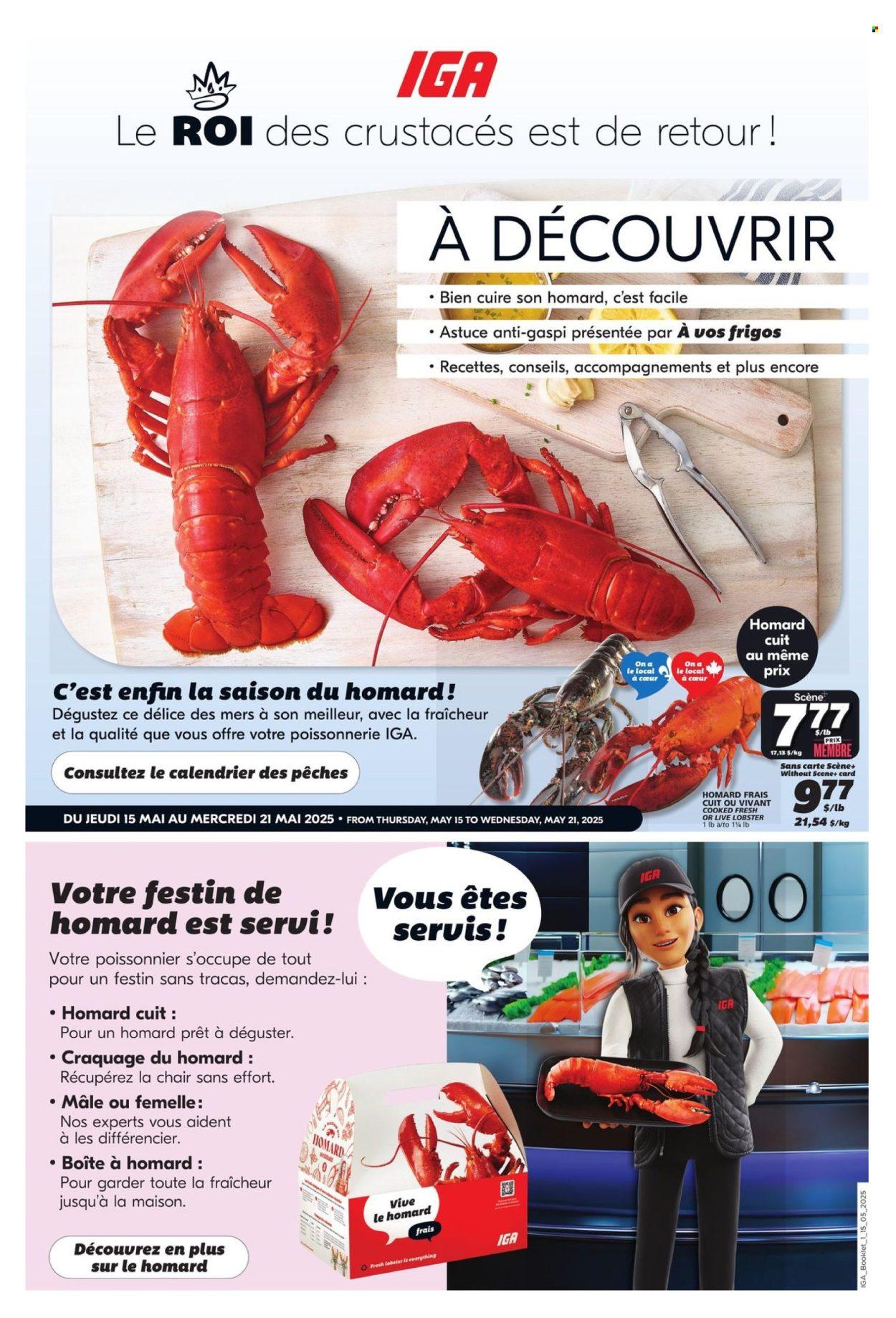 IGA flyer: Lobster (2025-05-15 - 2025-05-21) | 1