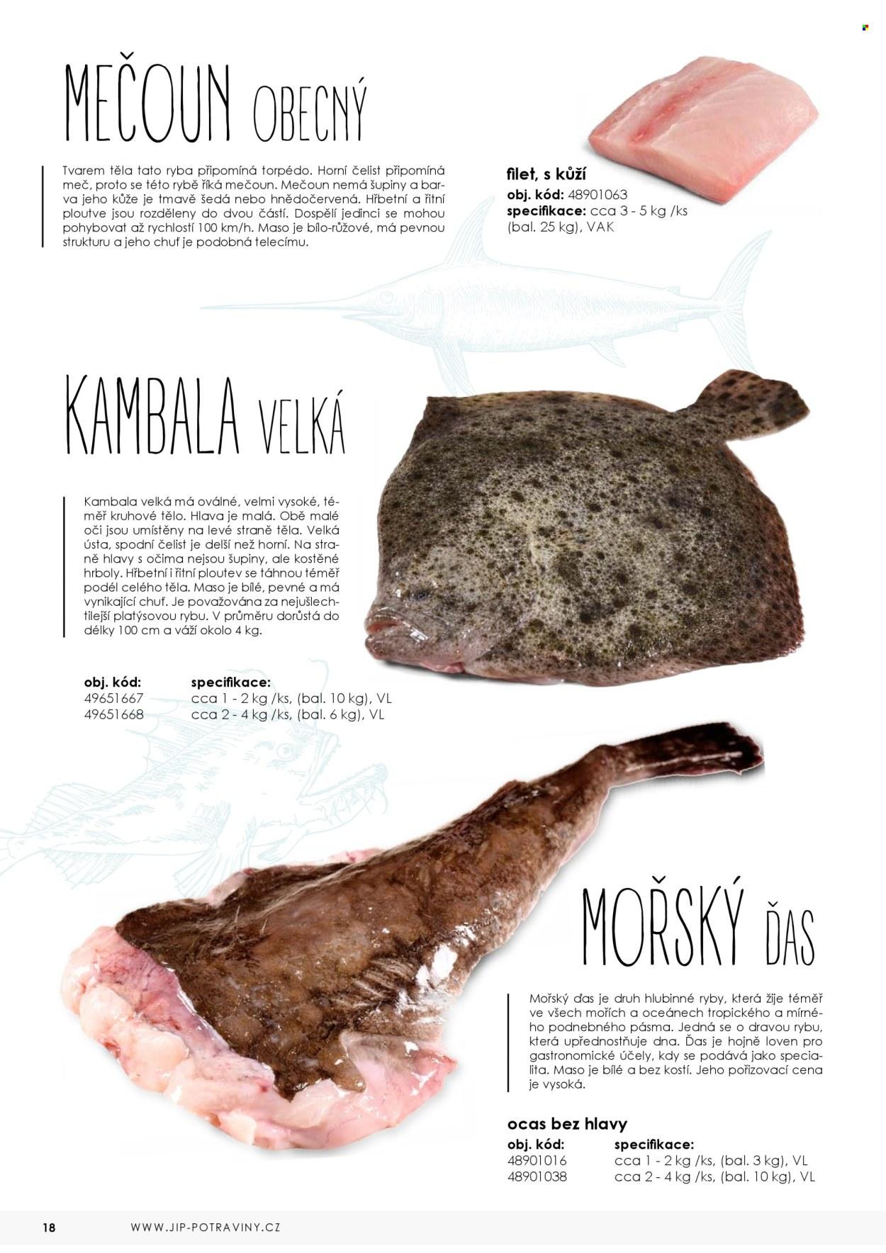 Leták: Katalog ryby 2025 (2025-05-07)