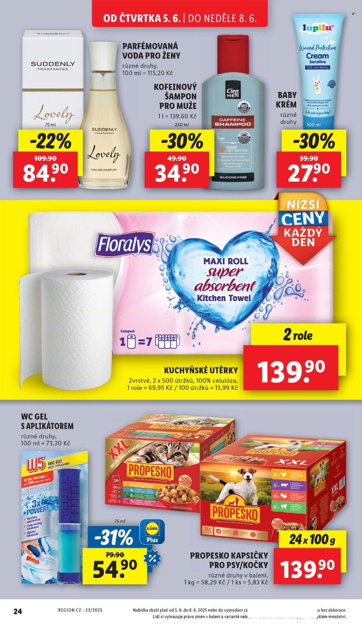 Leták (2025-06-05 - 2025-06-08)