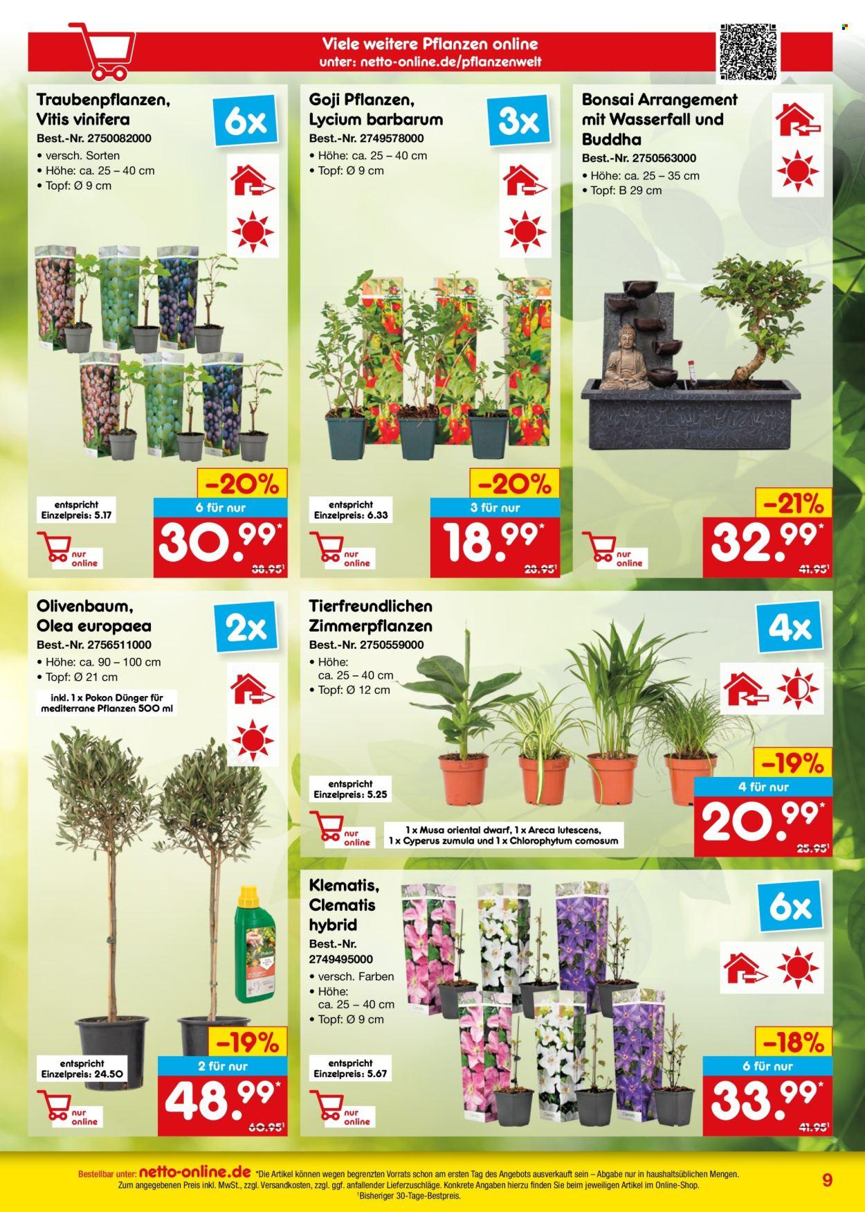 Netto Marken:Discount Prospekt - Online-Angebote März
