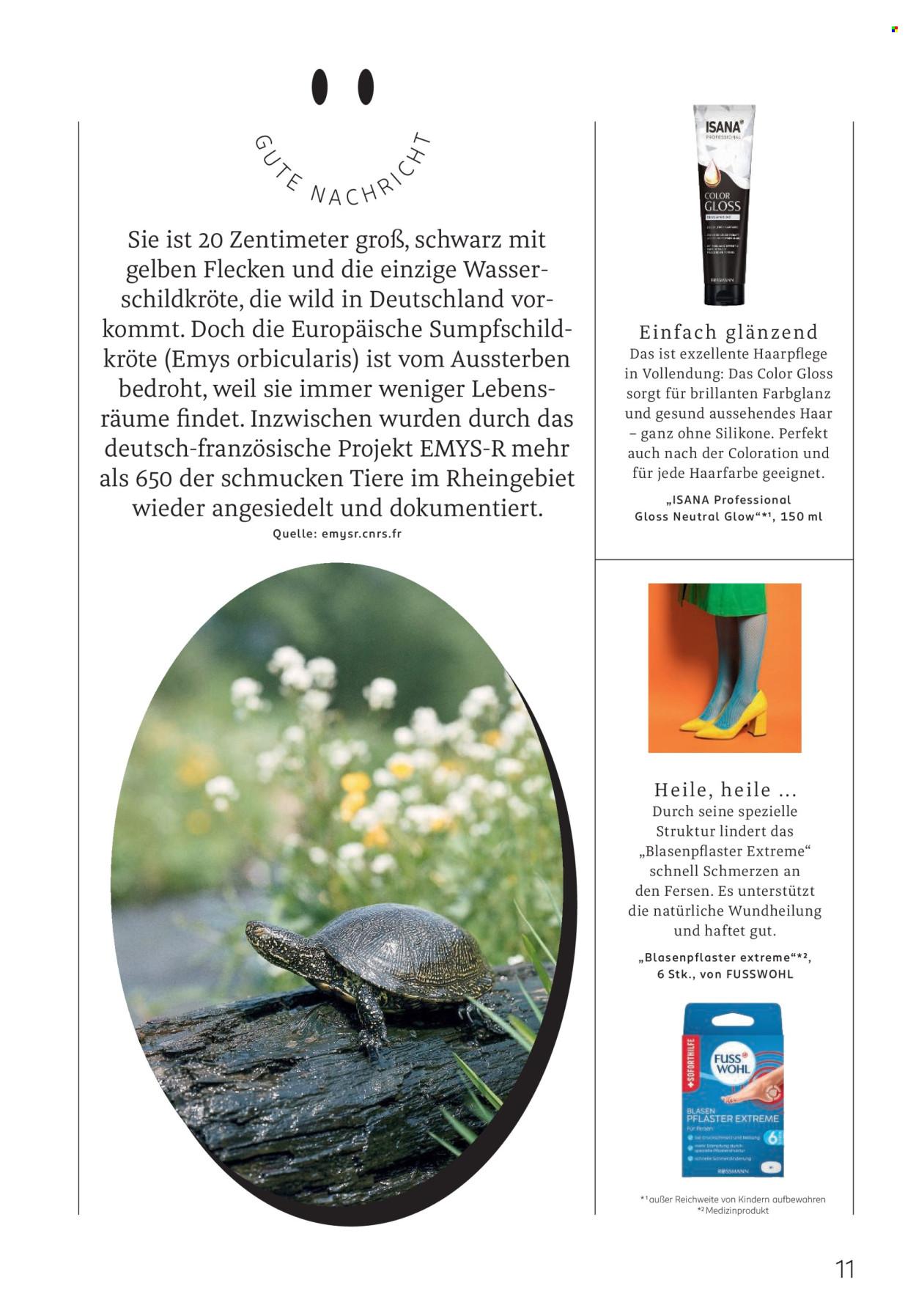 Rossmann Prospekt: Centaur (2025-05-01 - 2025-05-31) | 11