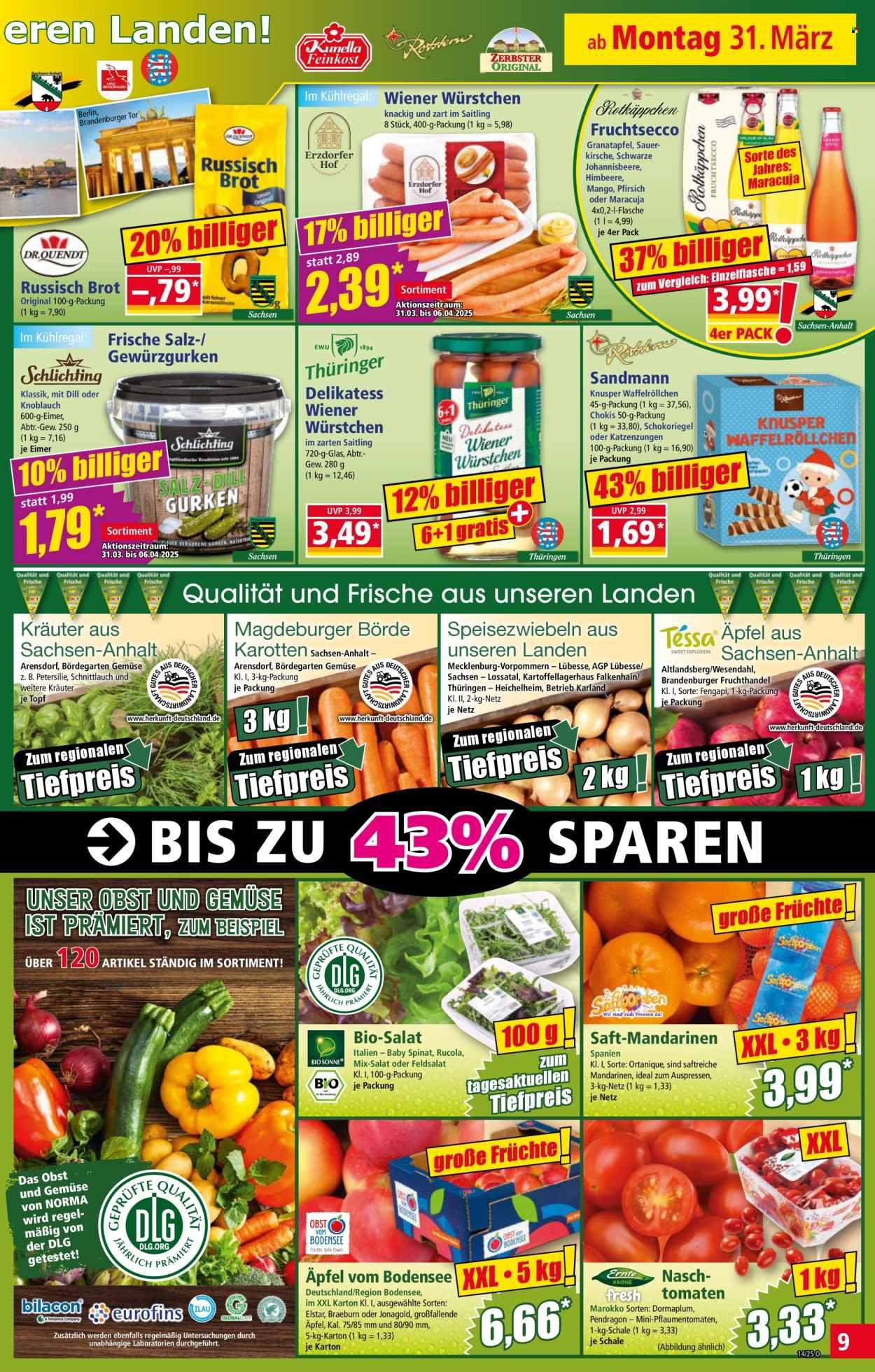 Norma Prospekt