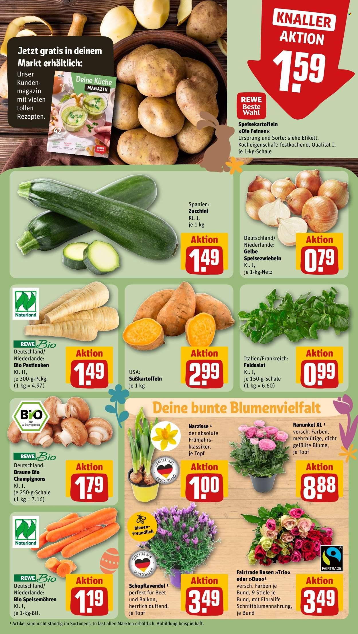 REWE Prospekt