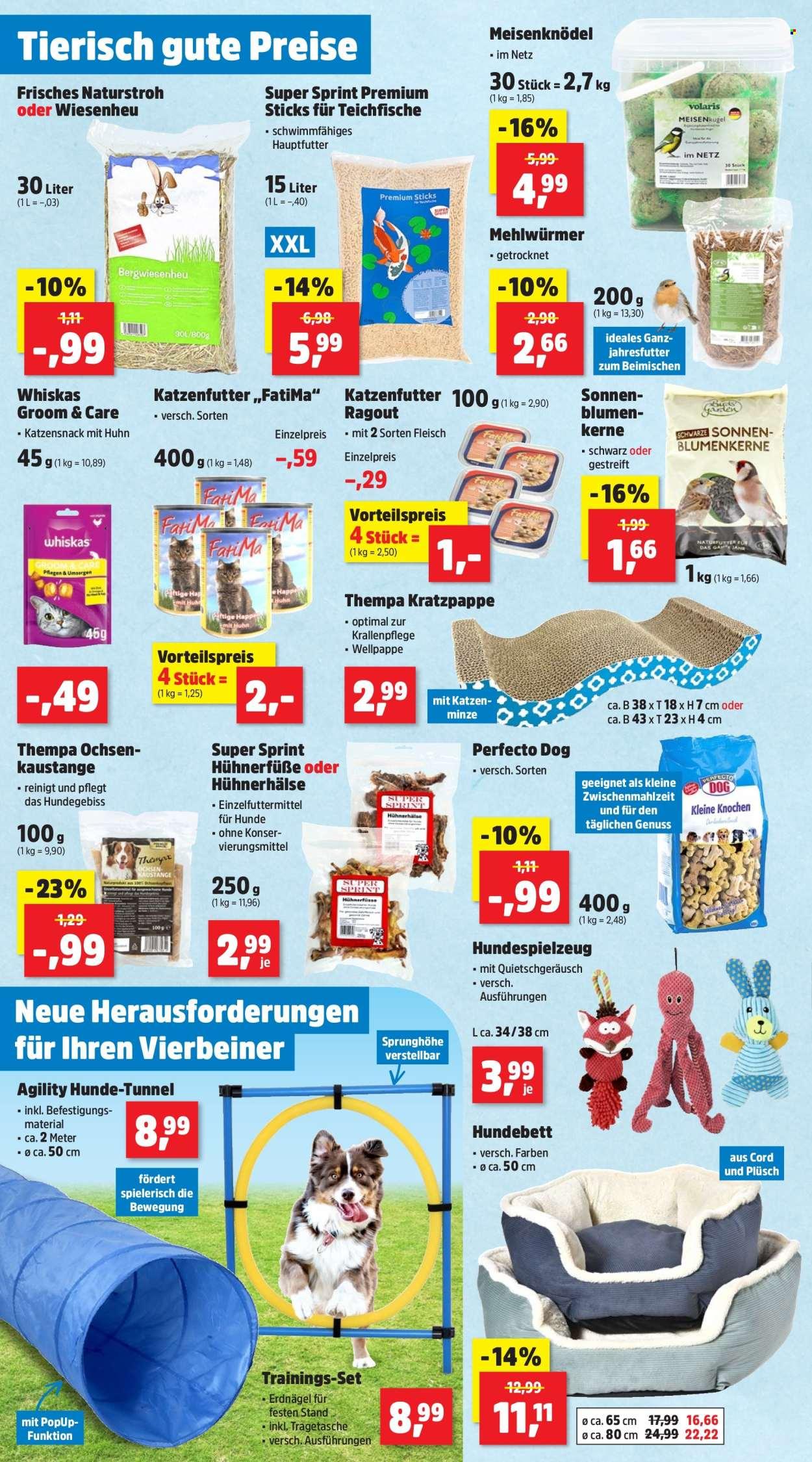 Thomas Philipps Prospekt: KW 15