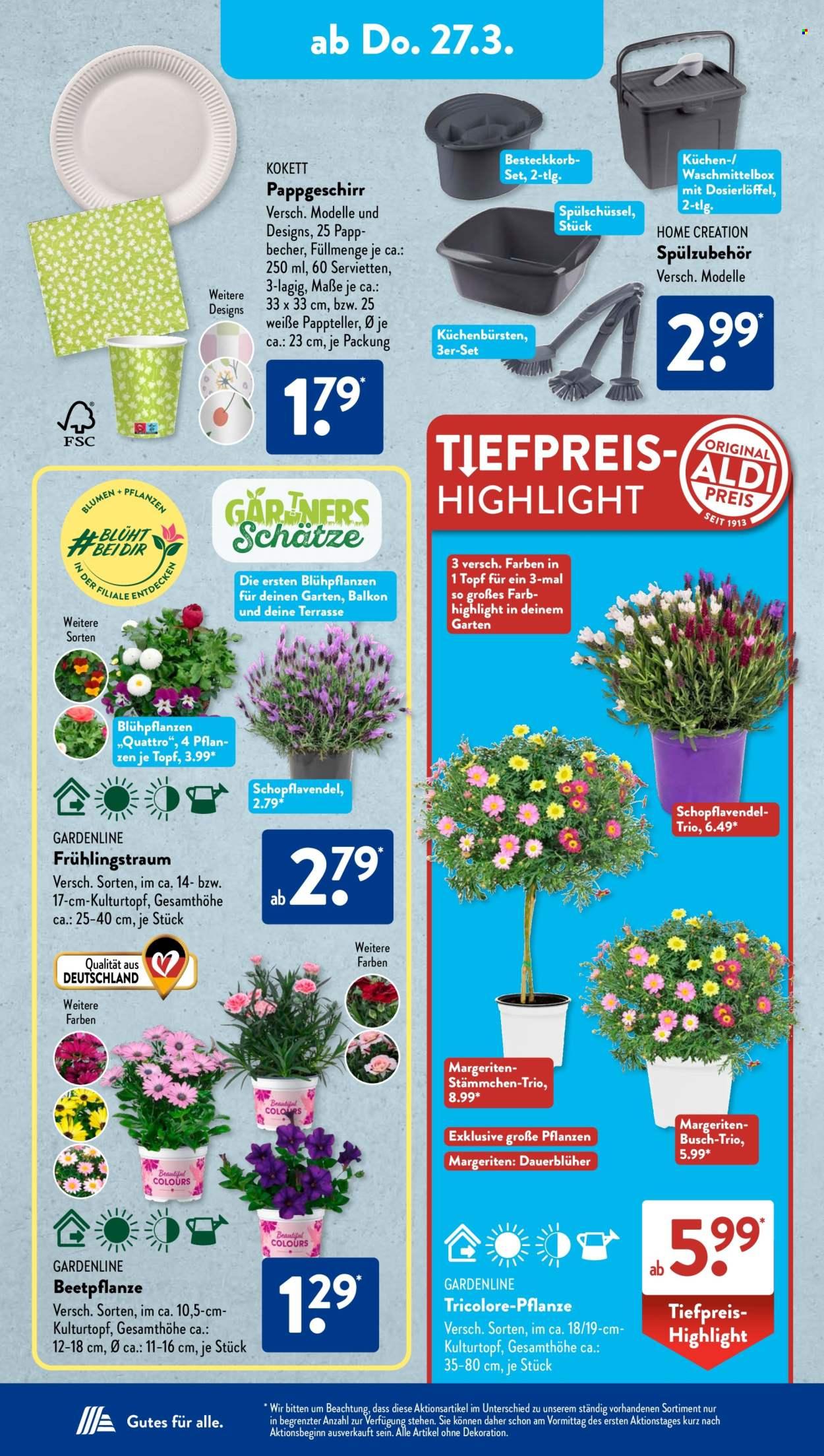 ALDI SÜD Prospekt