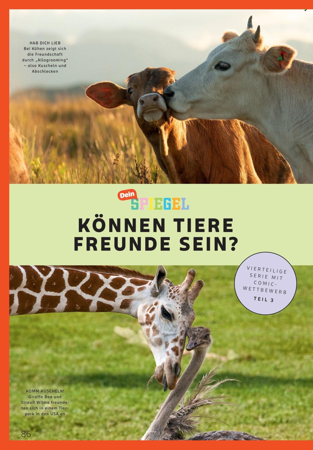 Rossmann Prospekt: Centaur