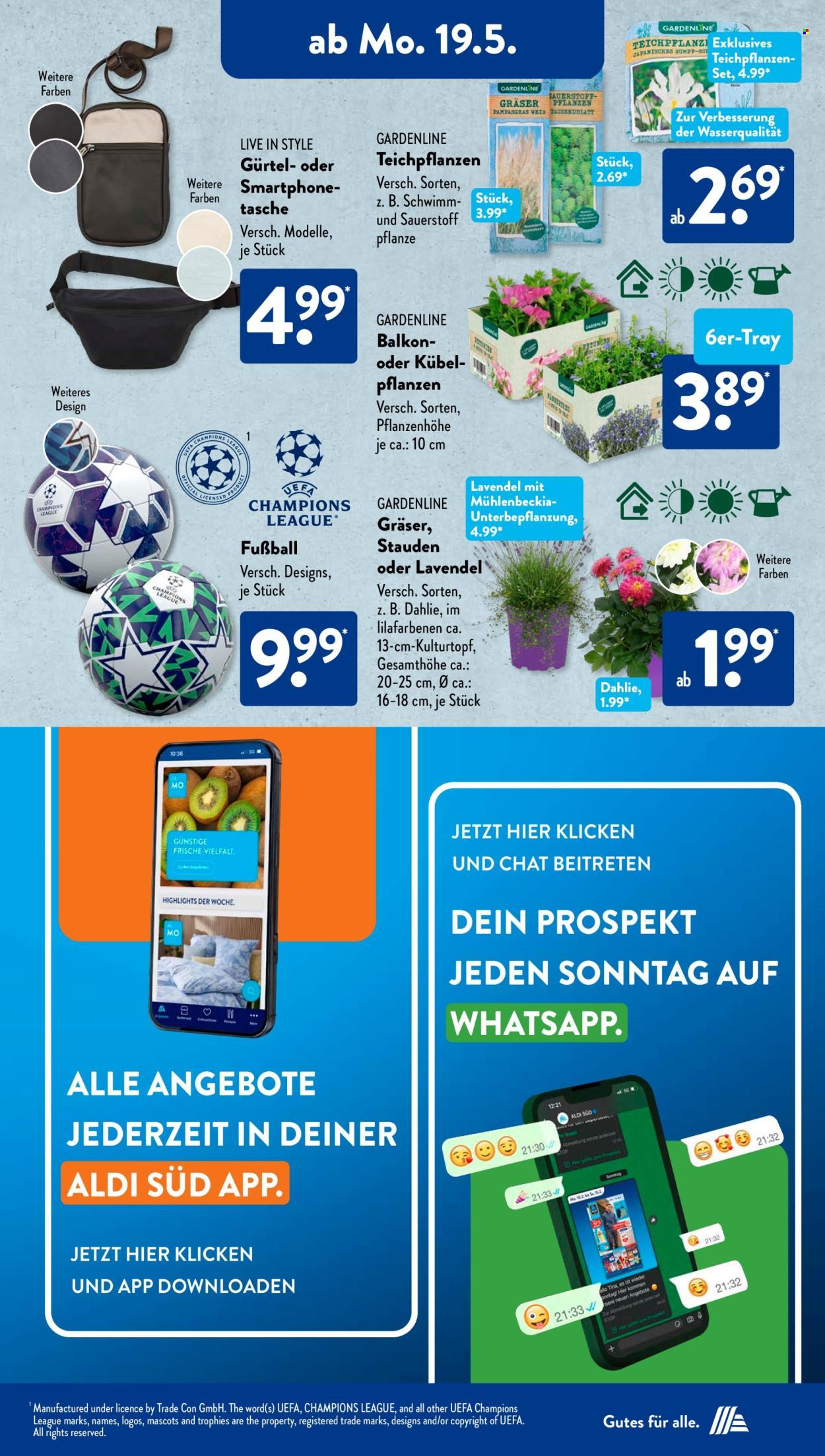 ALDI SÜD Prospekt (2025-05-19 - 2025-05-24) | 13